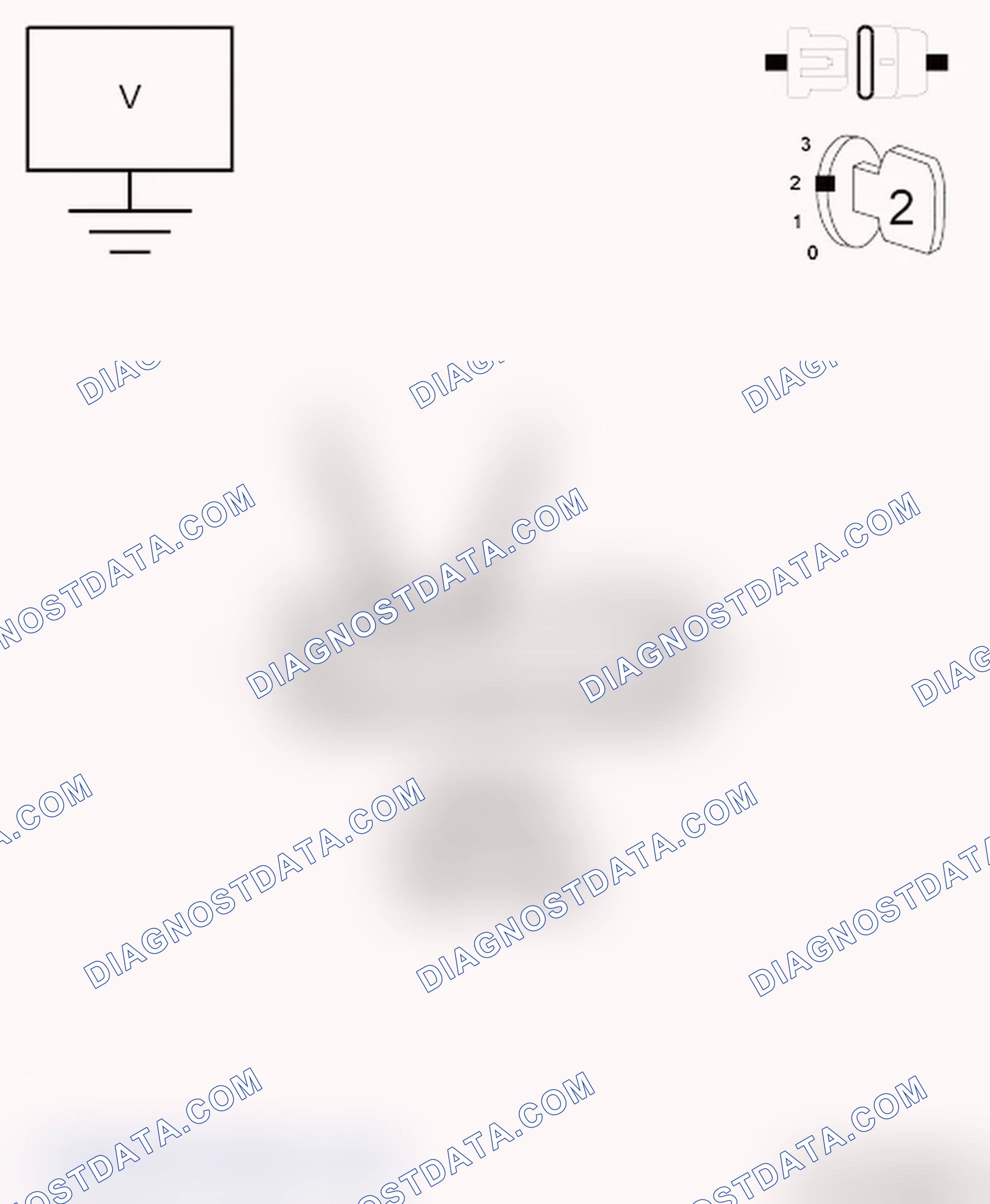Scheme 13: DIAGNOSTIC TEST