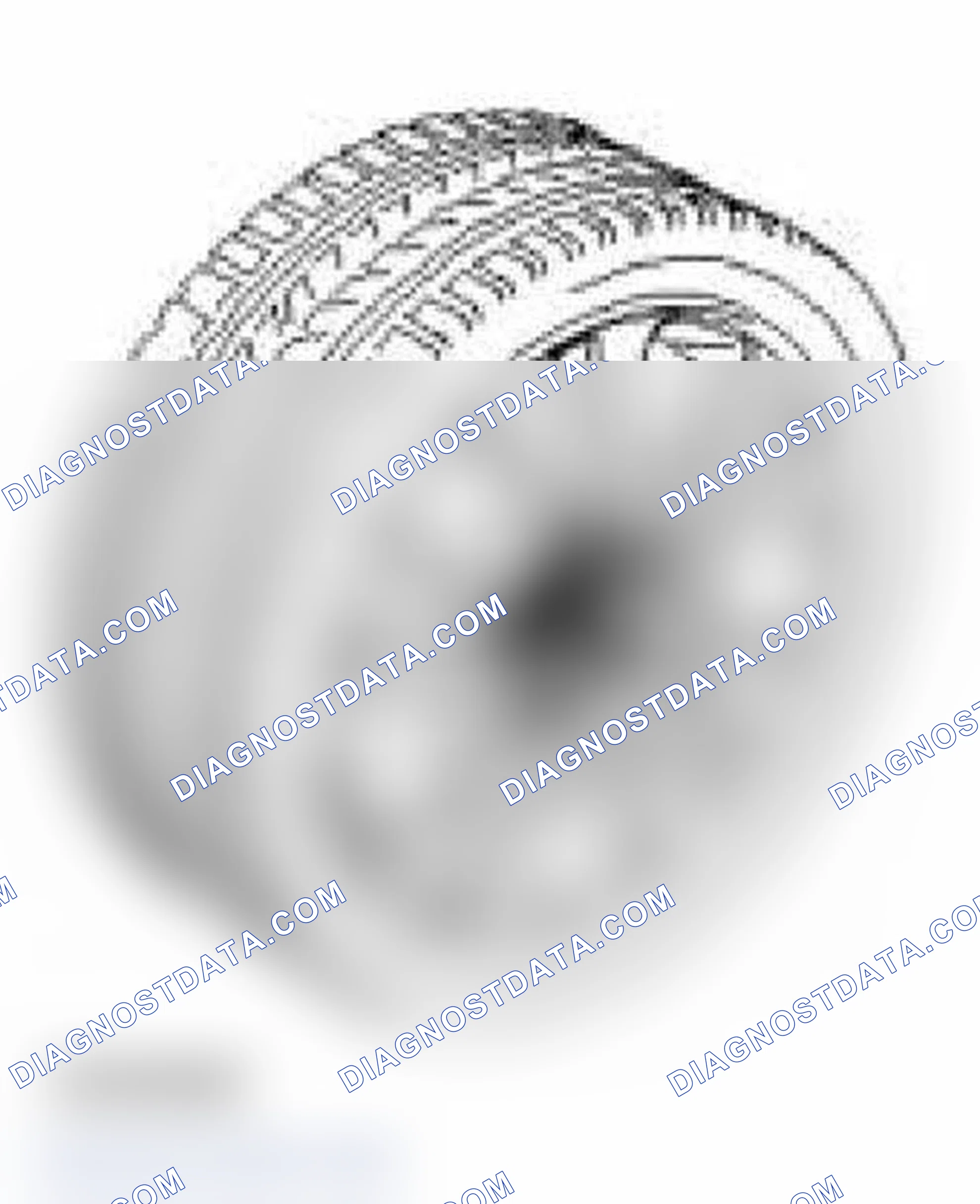 Scheme 143: Tires And Wheels