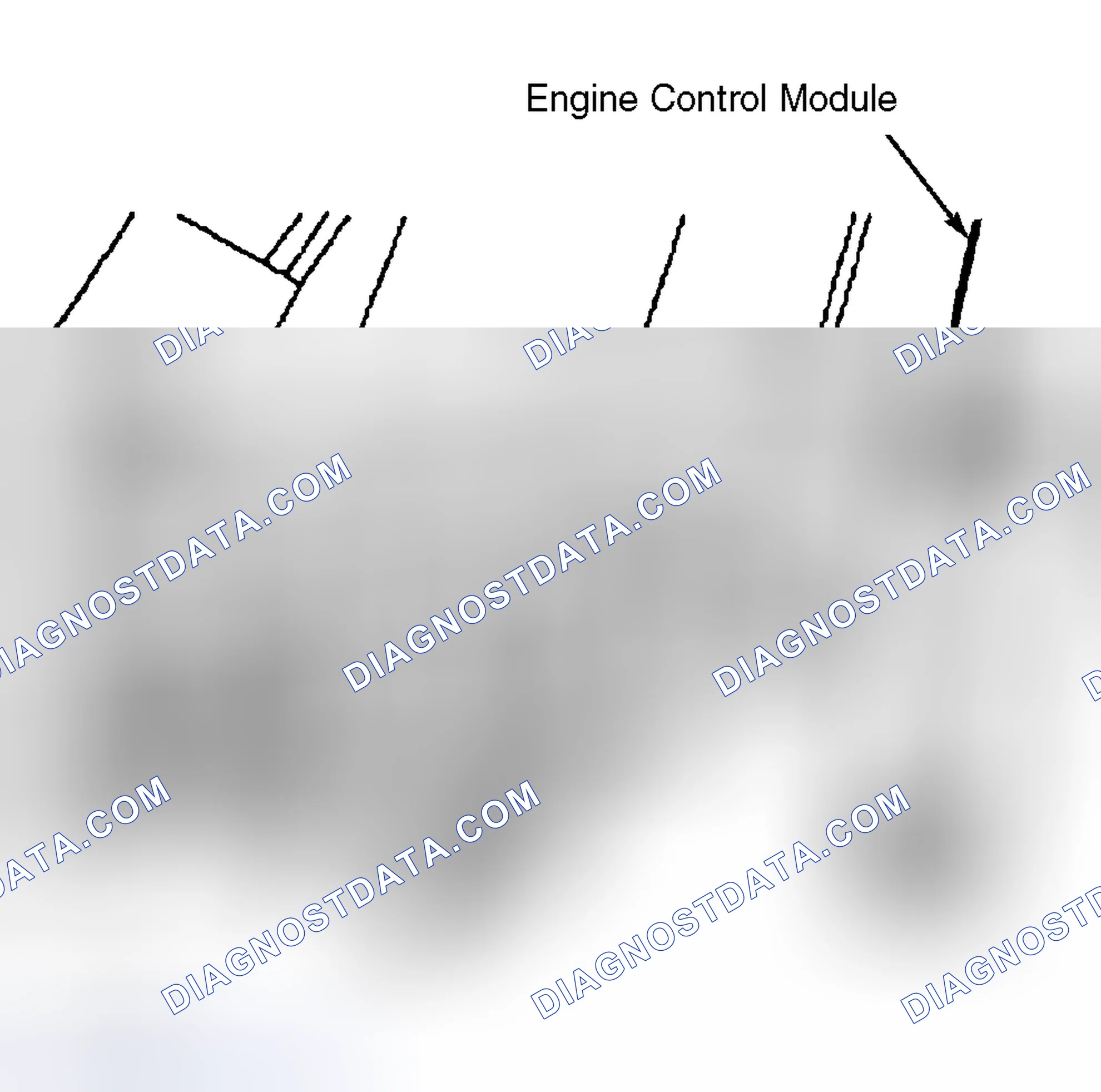 Scheme 23: Engine Control Module (ECM)