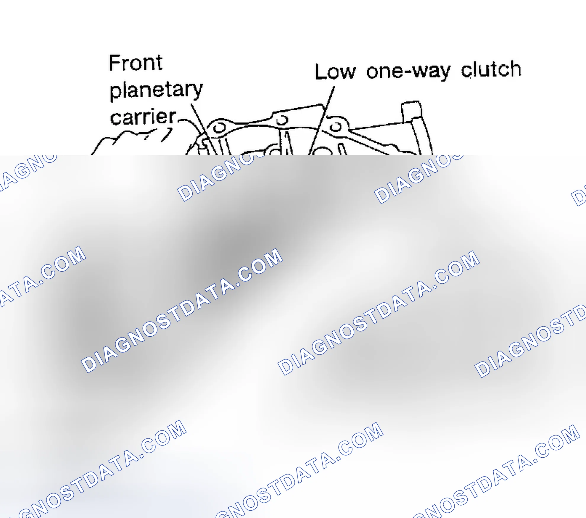 Scheme 1019