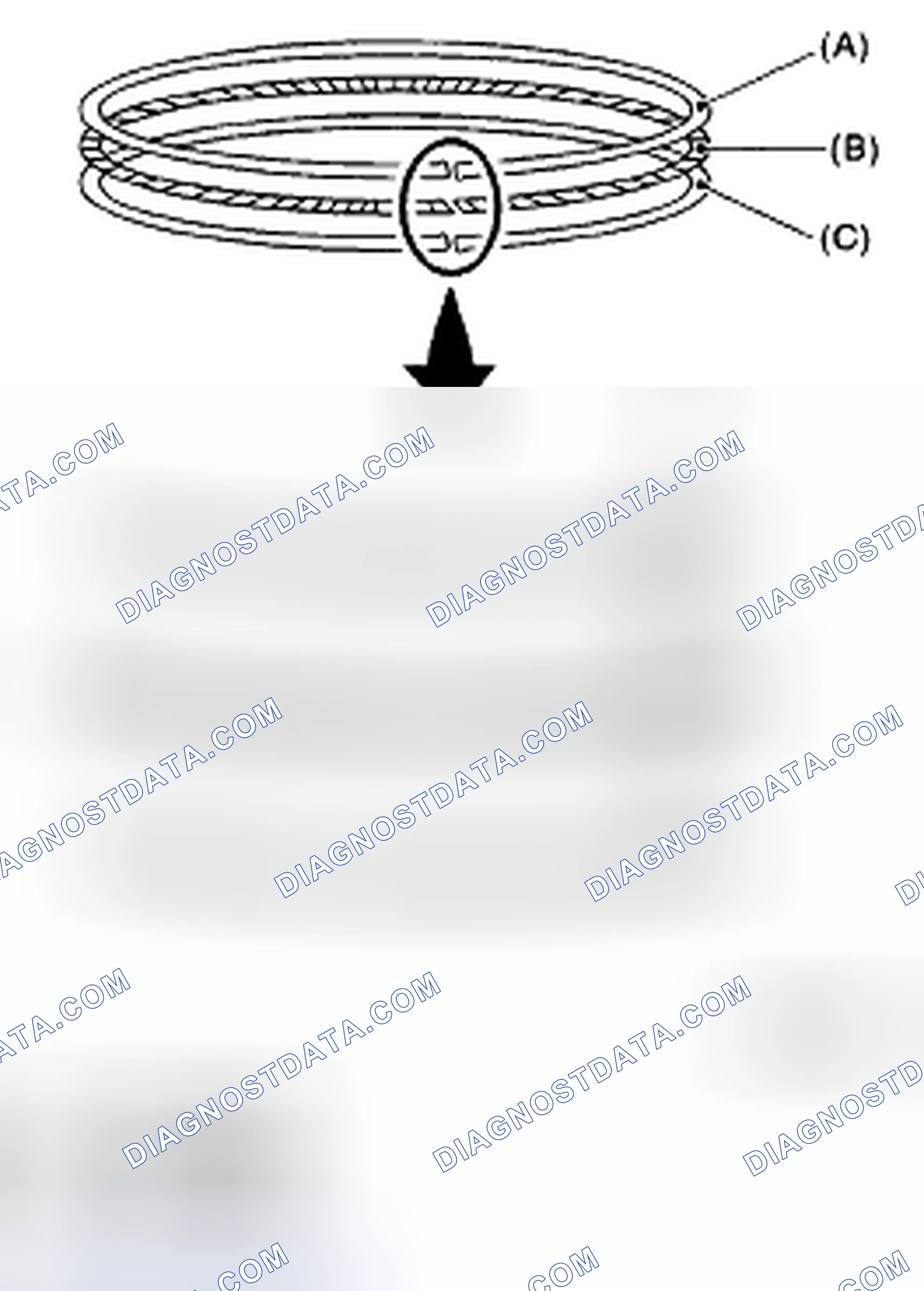 Scheme 261: PISTON RING