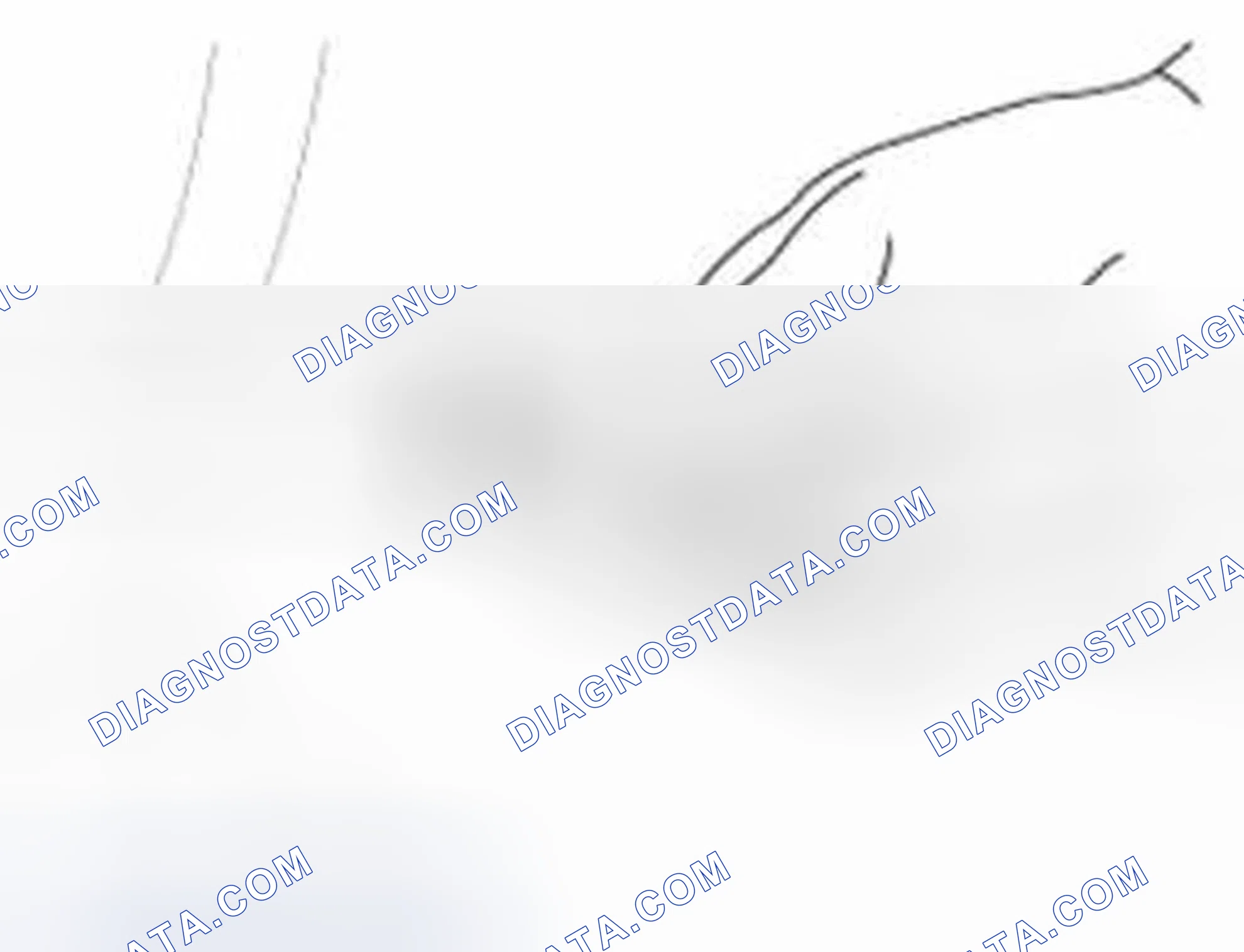 Scheme 304: INSPECTION