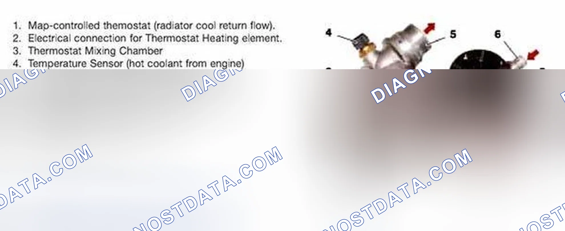 Scheme 954: Water Pump/Thermostat Housing