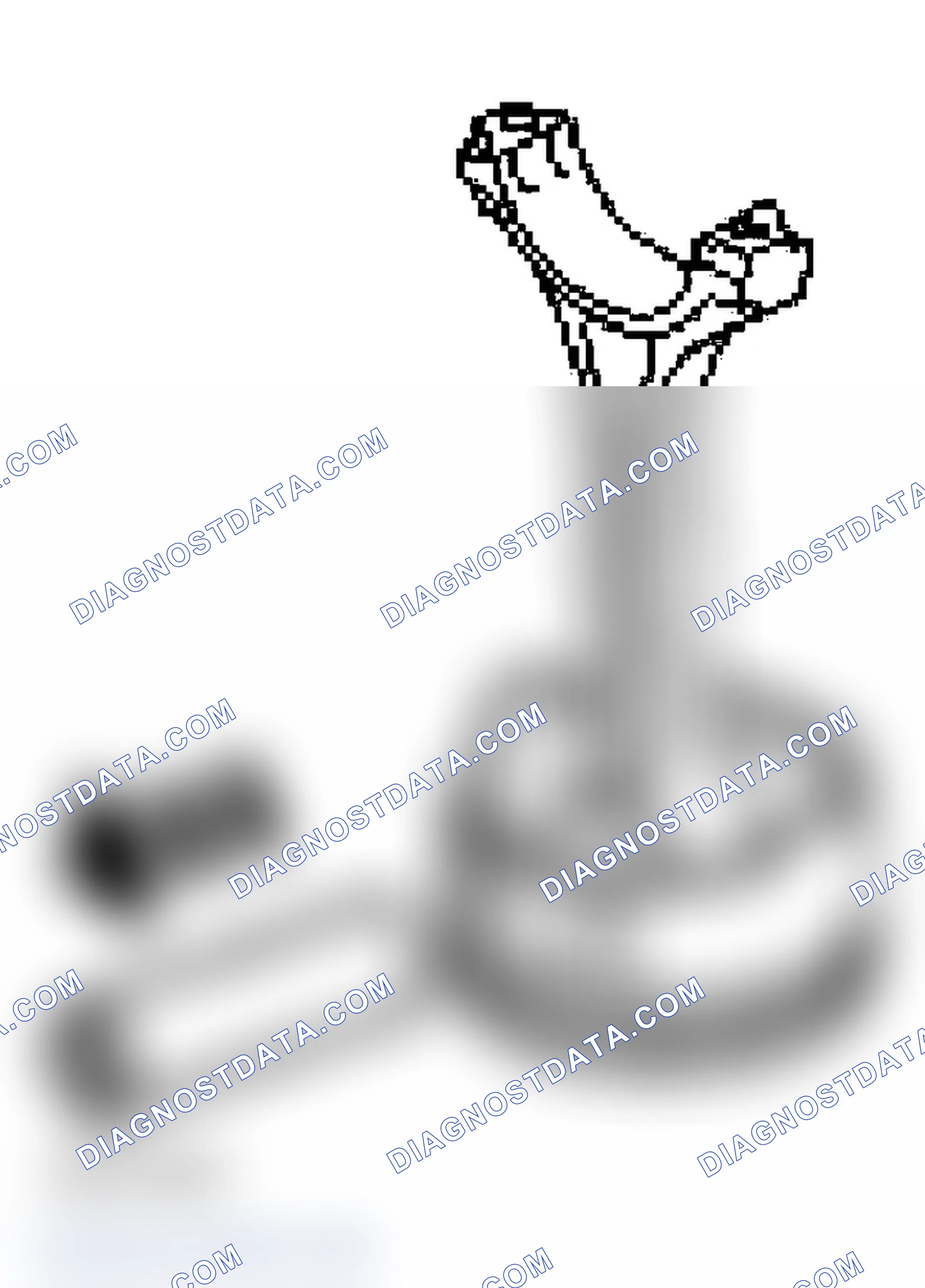 Scheme 556