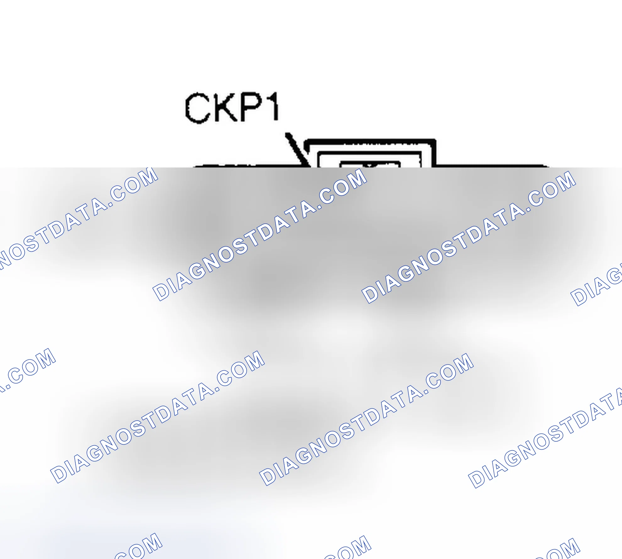 Scheme 97: Identifying Distributor Connector Terminals (CKP1 - 2.5L)