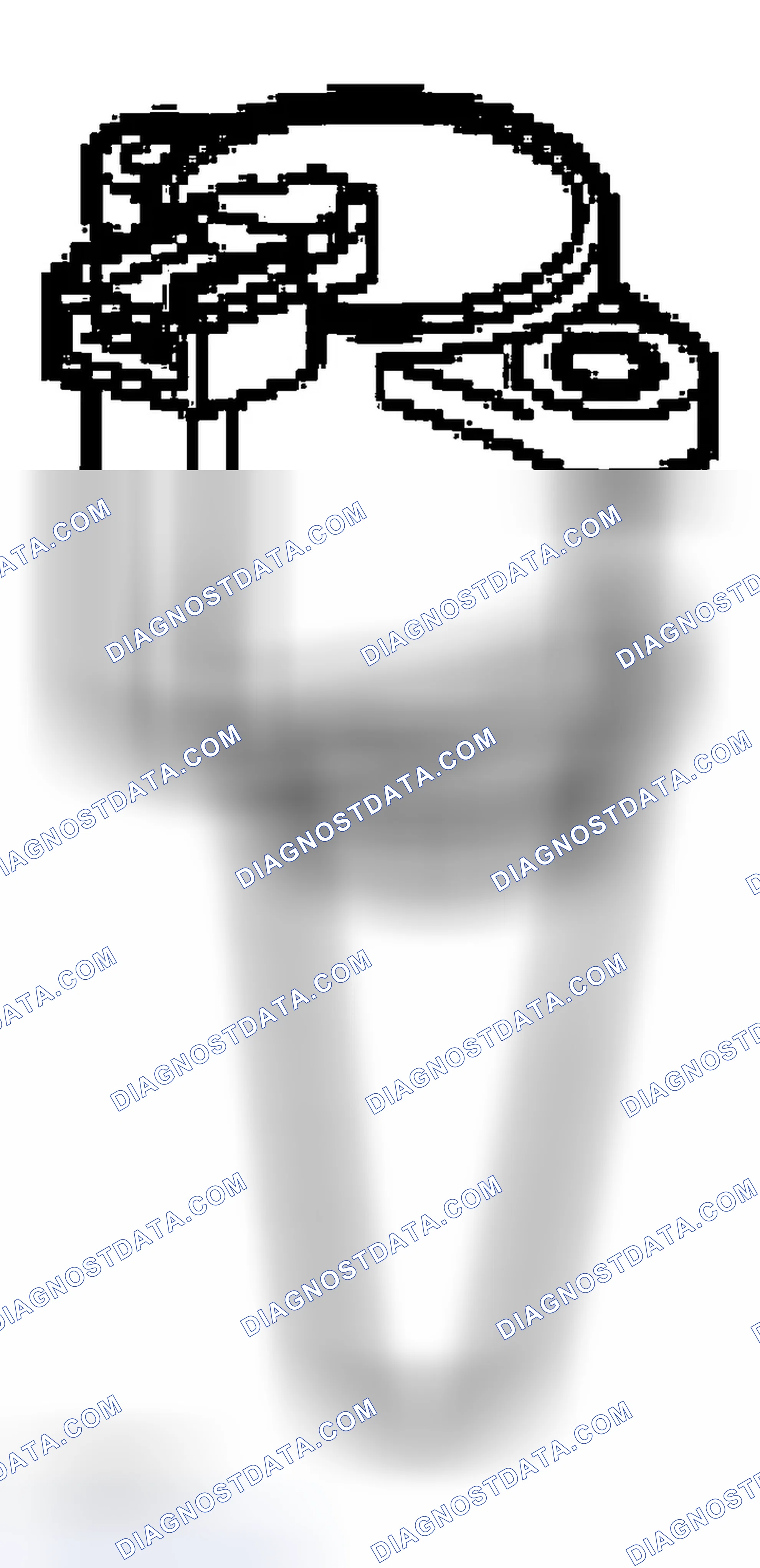 Scheme 247