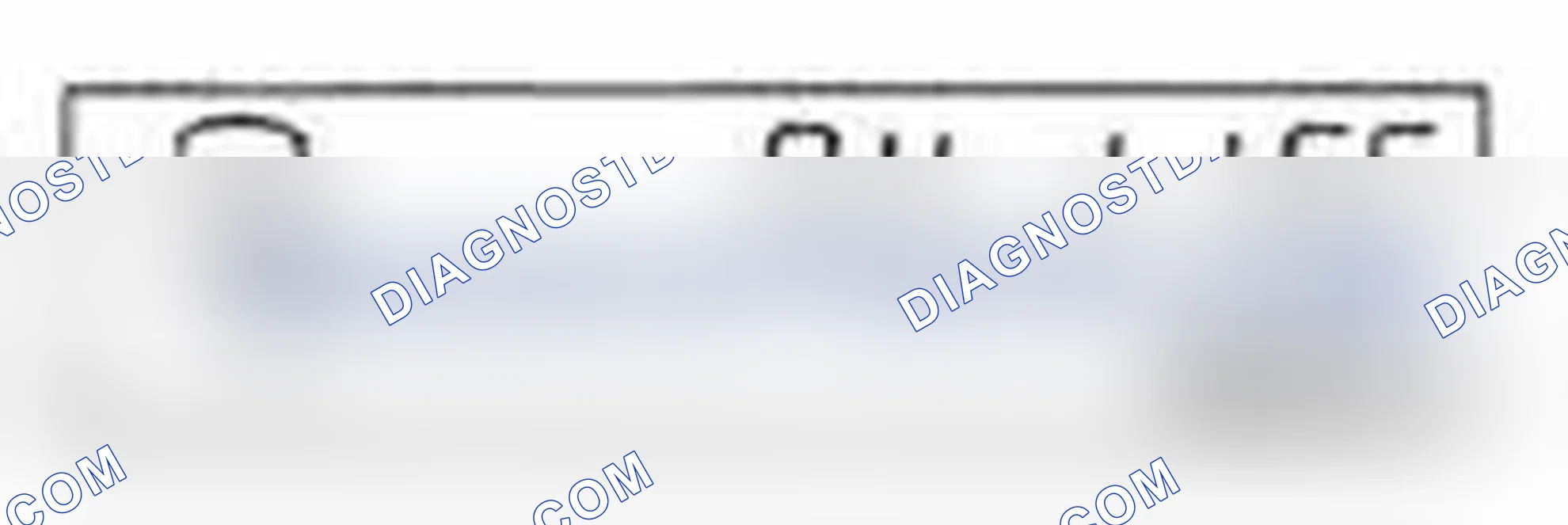 Scheme 23: Engine Oil Life Monitor Display Example