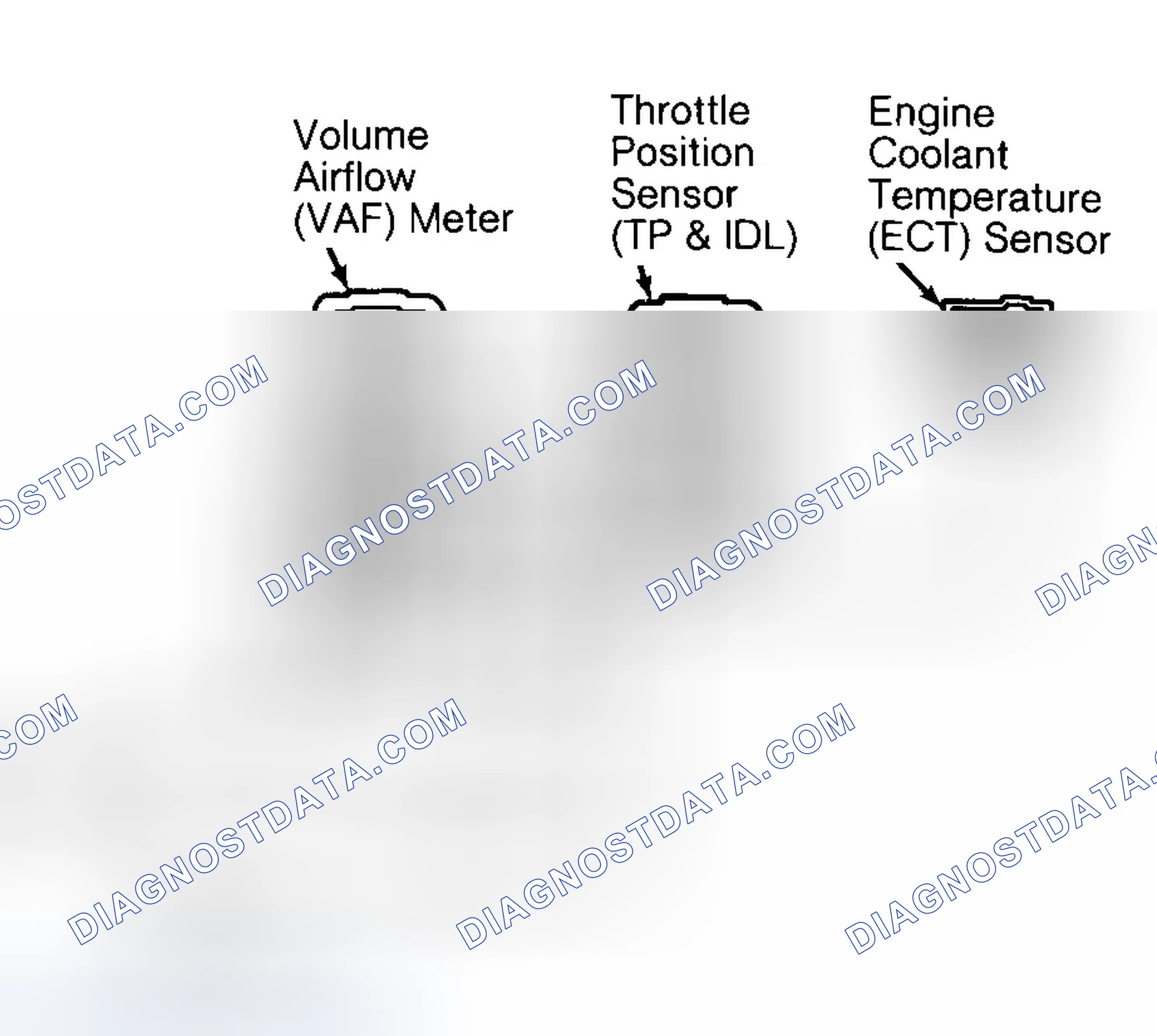 Scheme 177: Identifying VREF Connector Terminals (1.8L A/T)