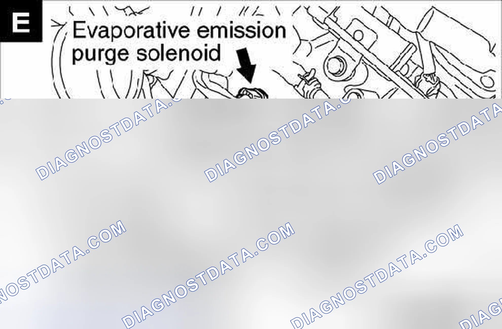 Scheme 50