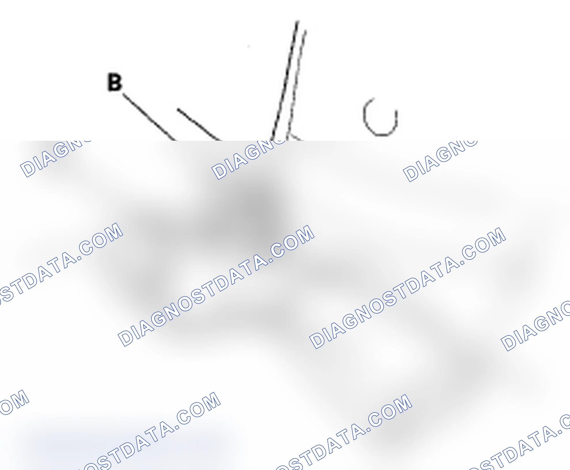 Scheme 25: Center Second Row Seat Belt Detachable Anchor