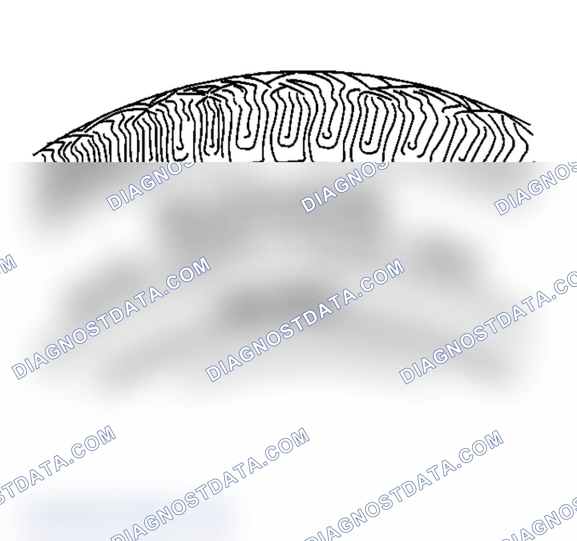 Scheme 2: Tire and Wheel Inspection