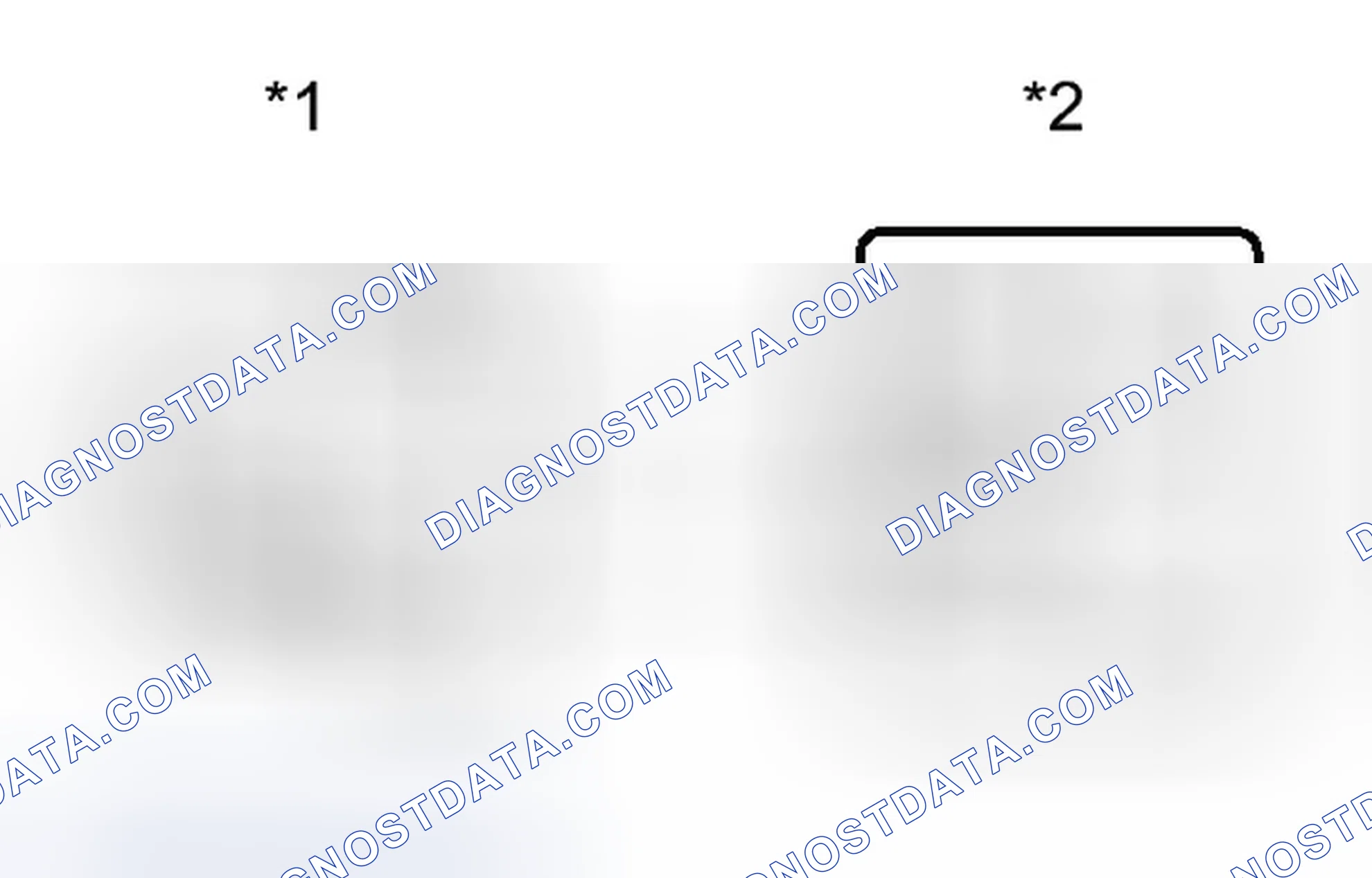 Scheme 319