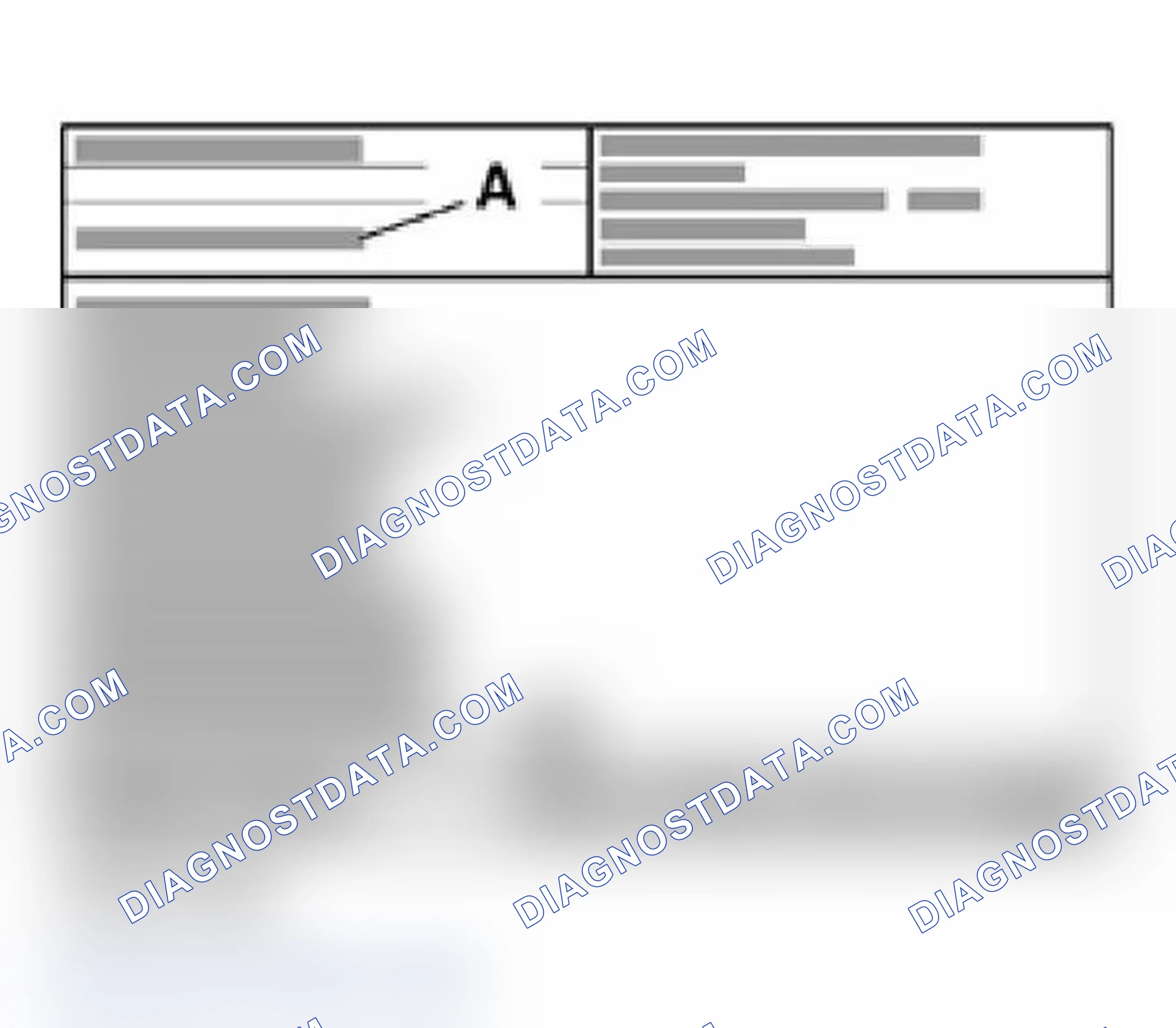 Scheme 219