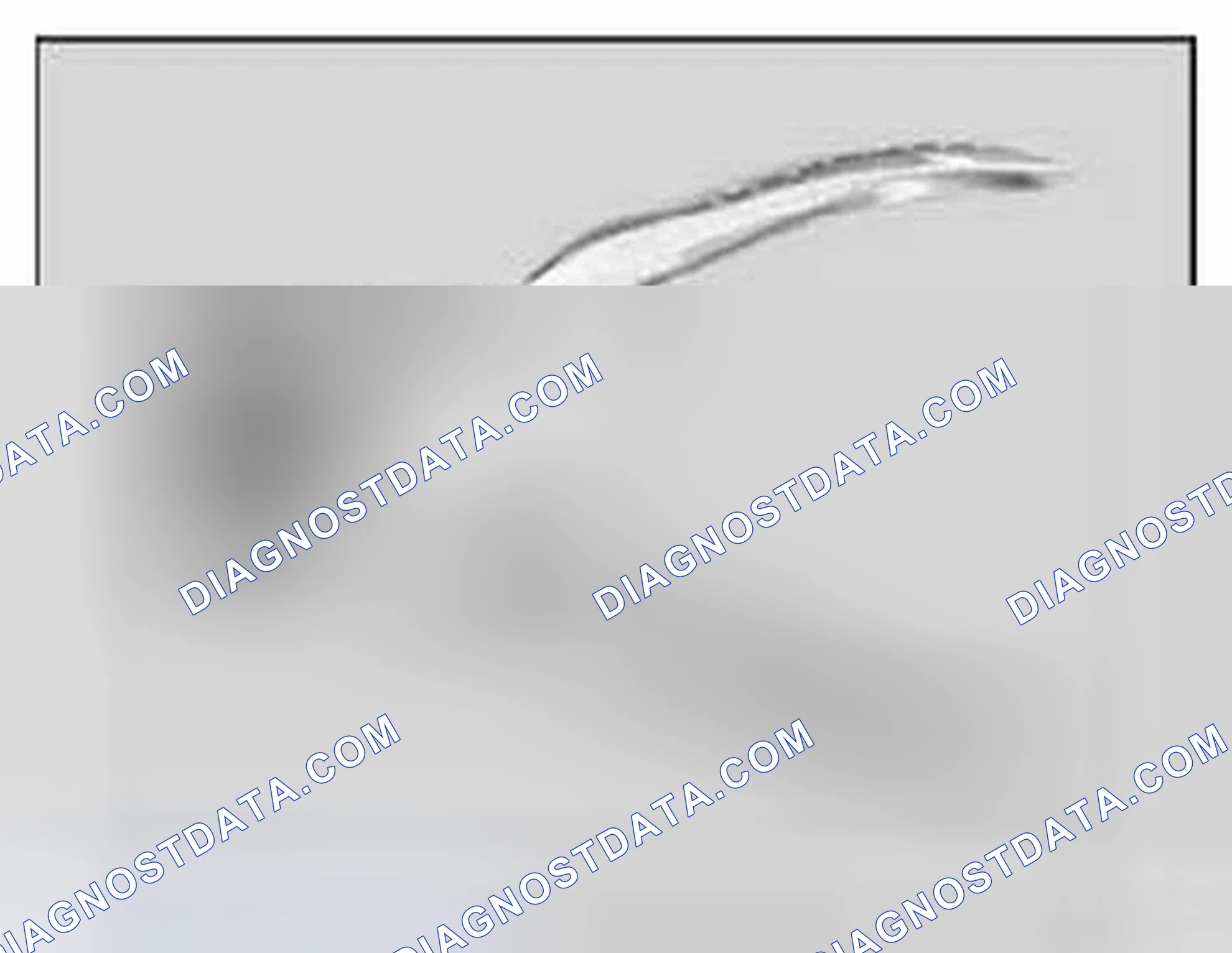 Scheme 284: 61 1 190 Pliers