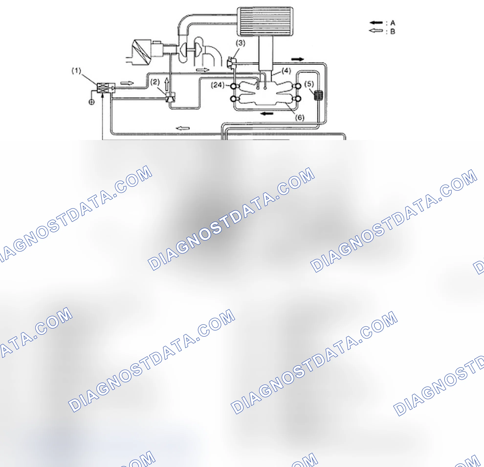 Scheme 246: OUTLINE OF DIAGNOSIS