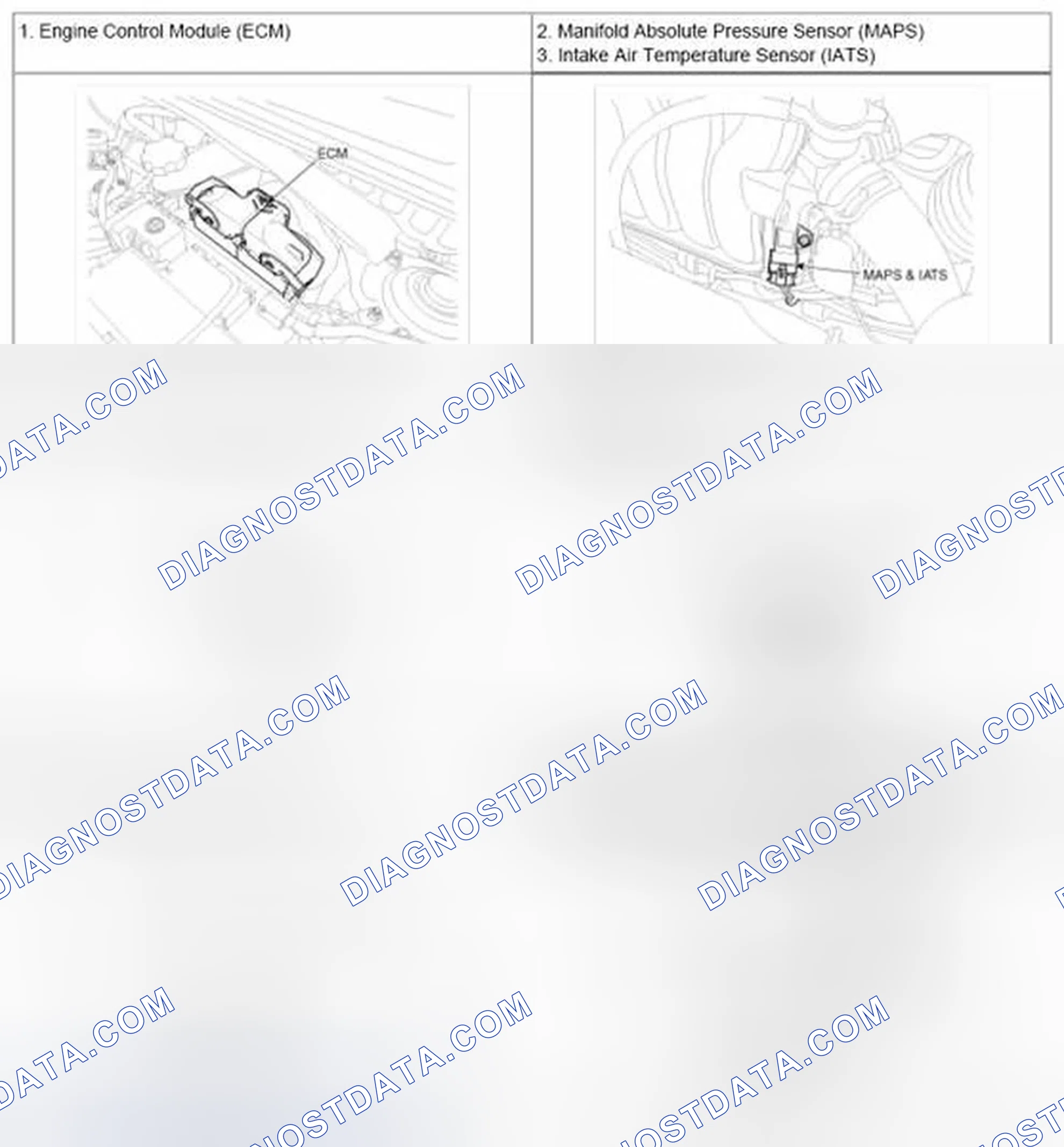 Scheme 135