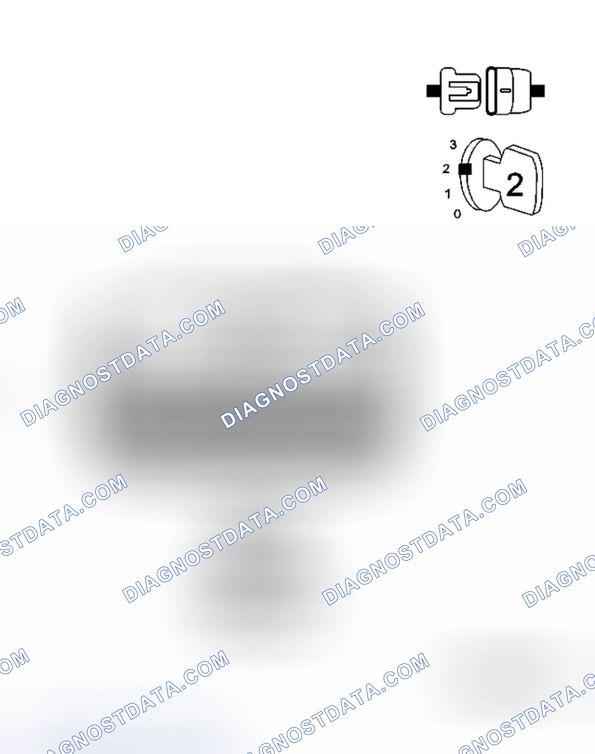 Scheme 43: Diagnostic Test