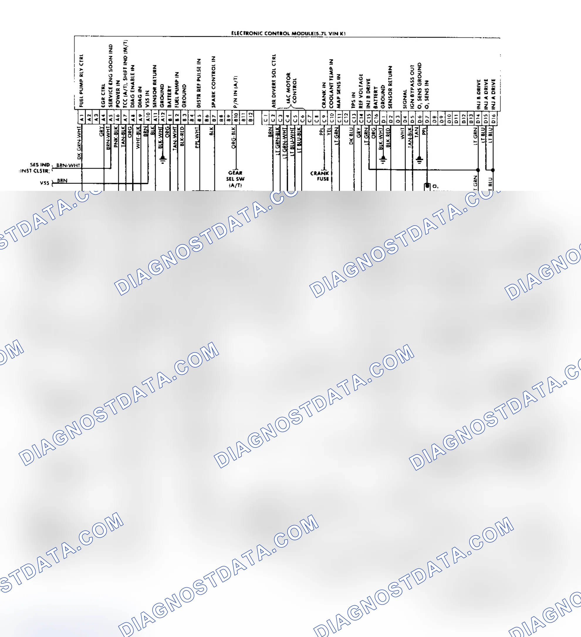Scheme 163: "P" Series Vans (5.7L) Wiring Diagram