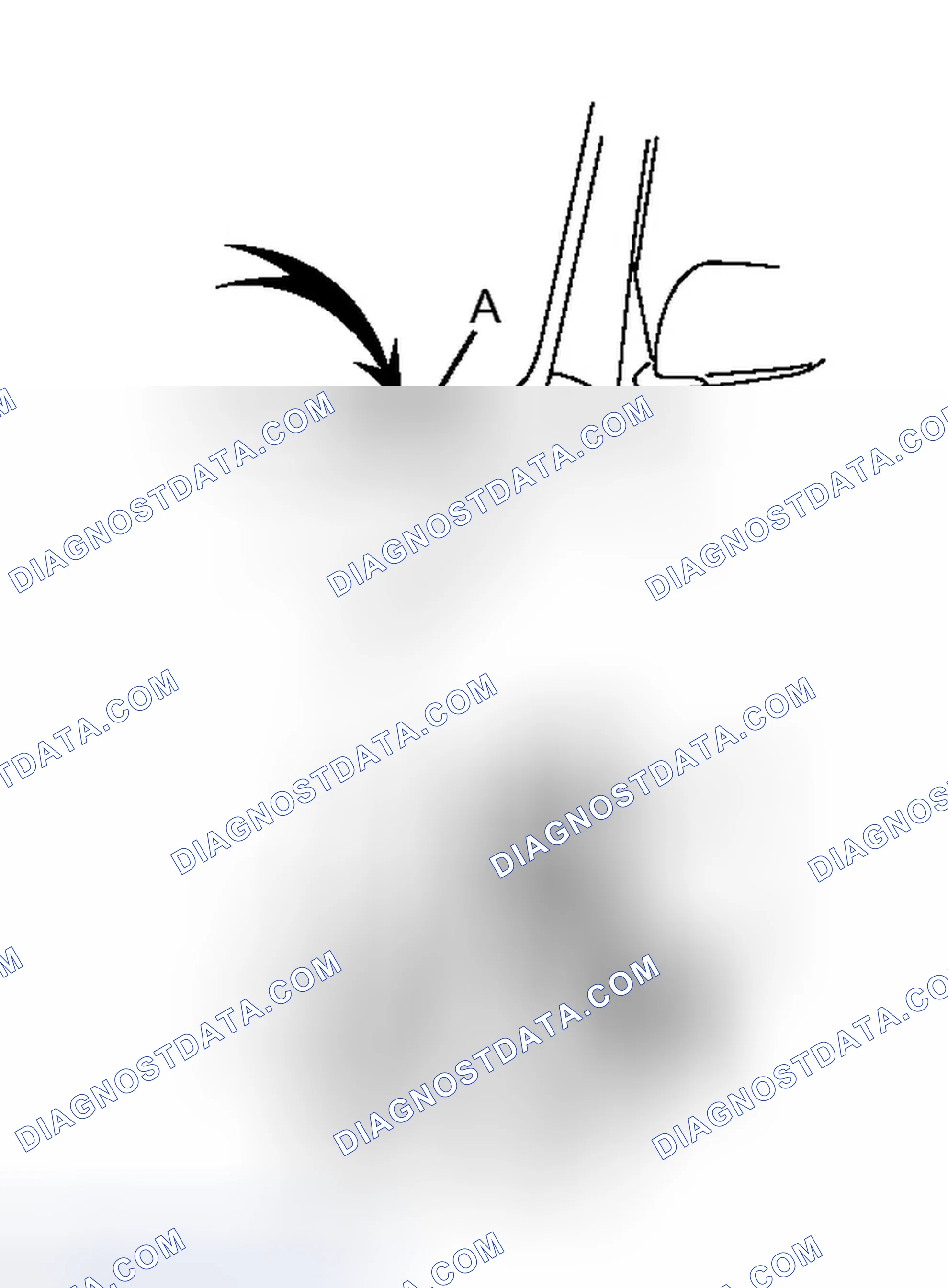 Scheme 2: VEHICLE IDENTIFICATION AND SERIAL NUMBERS