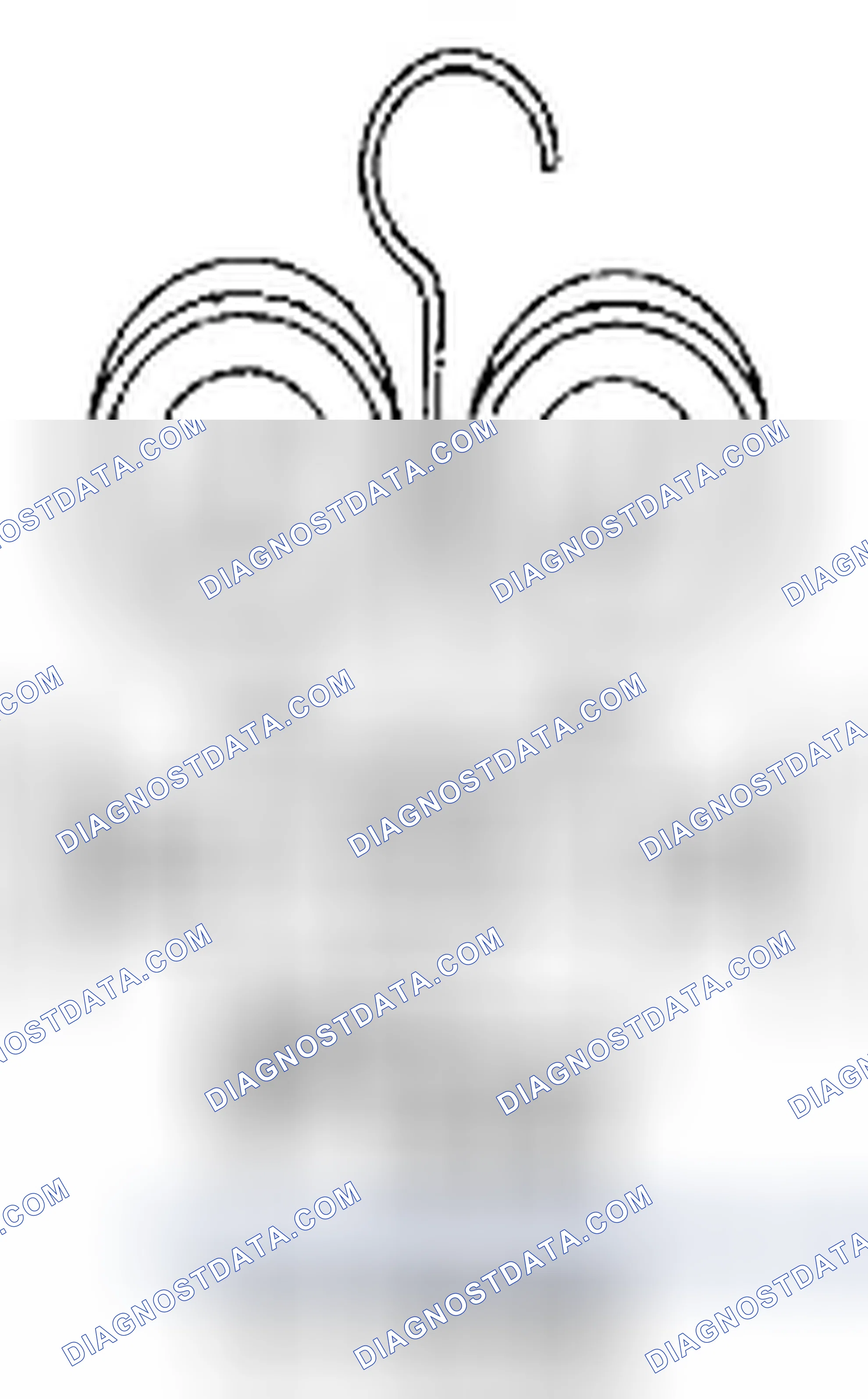 Scheme 145: MANIFOLD GAUGE SET