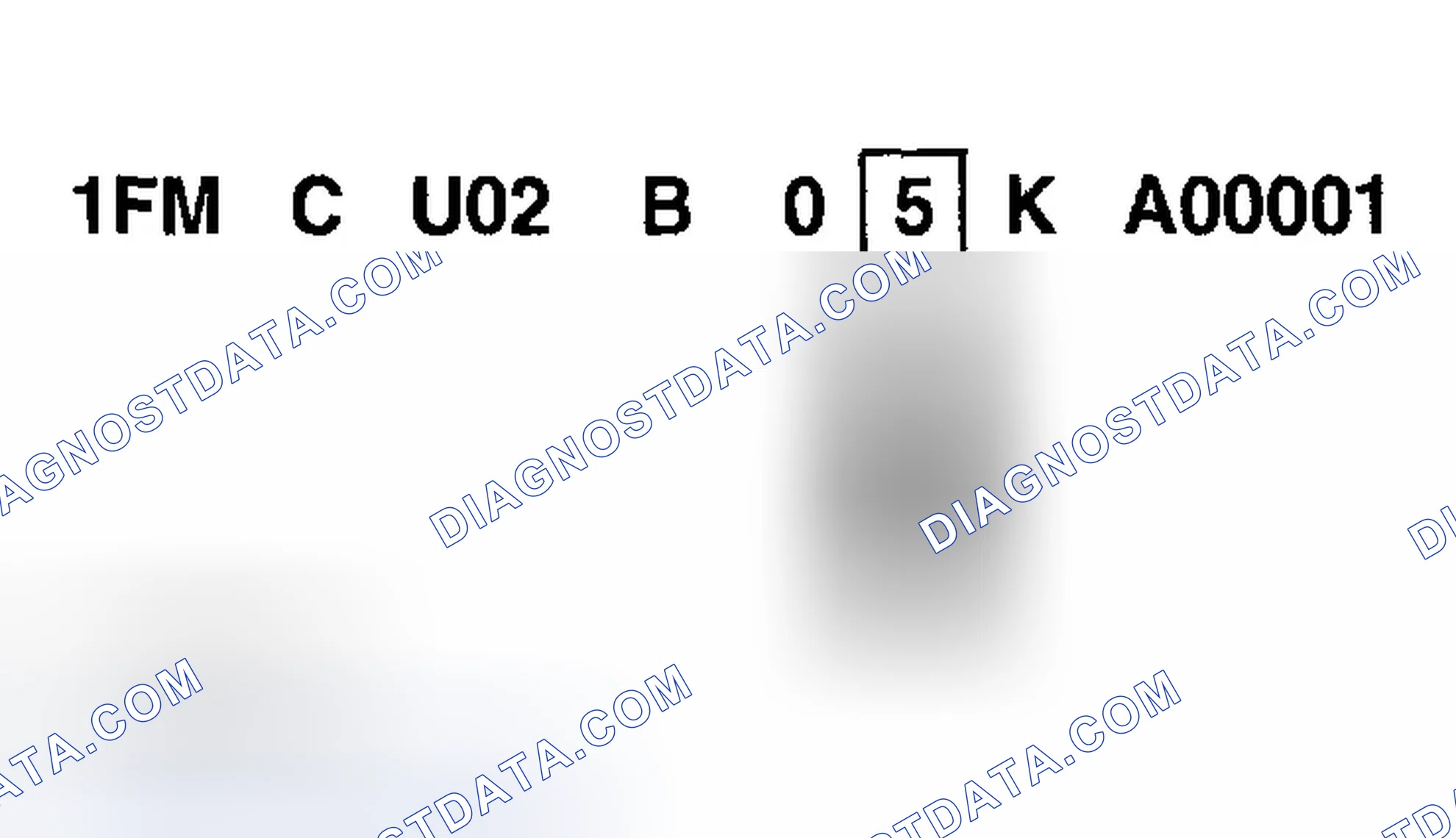 Scheme 7: Model Year Code