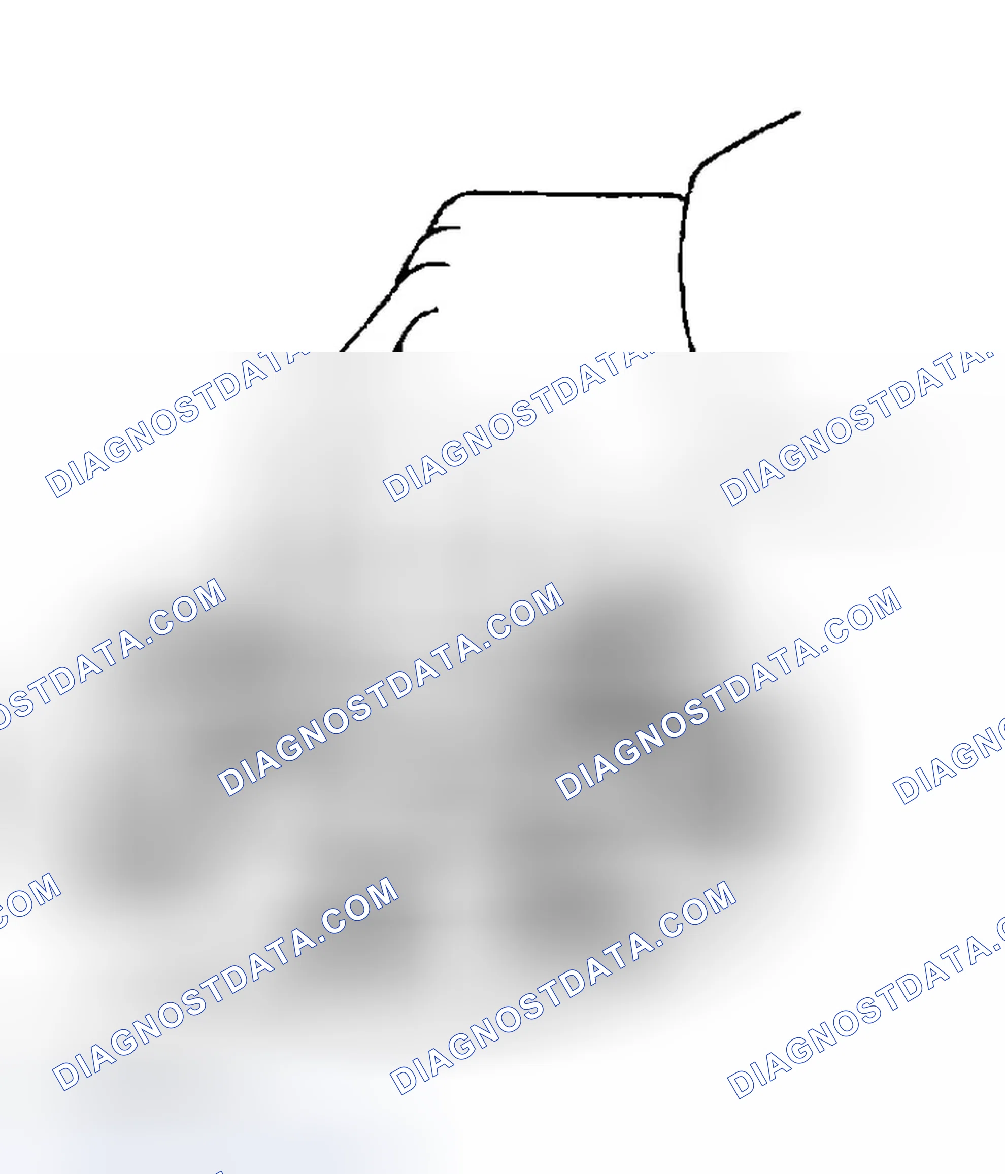 Scheme 30: INSPECTION PROCEDURE