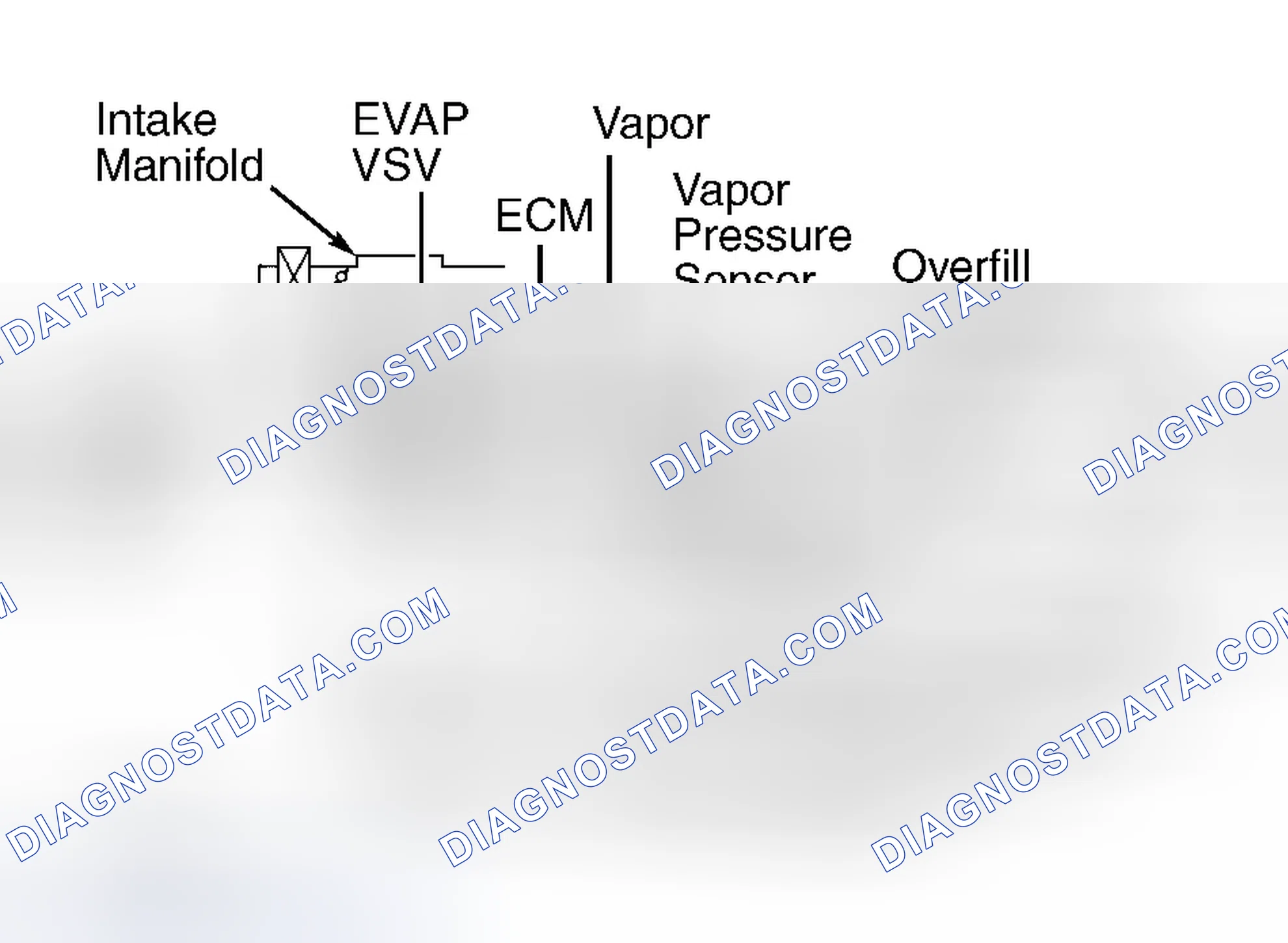 Scheme 59: Avalon, Camry 2.2L 4-Cyl. Gasoline Models, Camry 3.0L V6, Camry Solara, Celica, Corolla & ECHO