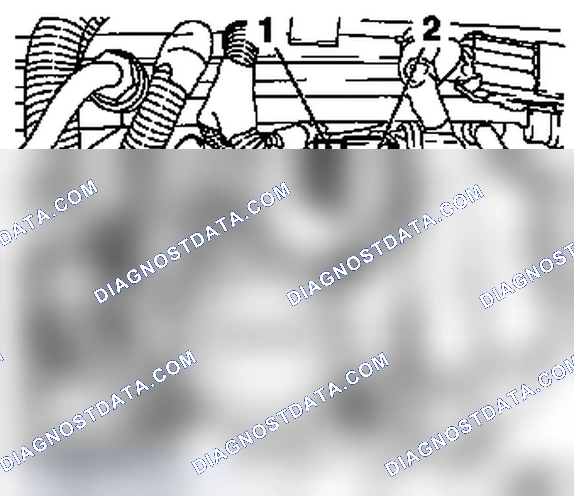 Check Compression (Z 22 SE)