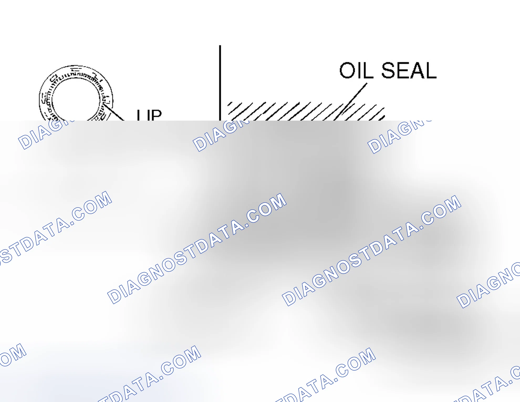 Scheme 187: << C >> CAMSHAFT OIL SEAL REMOVAL