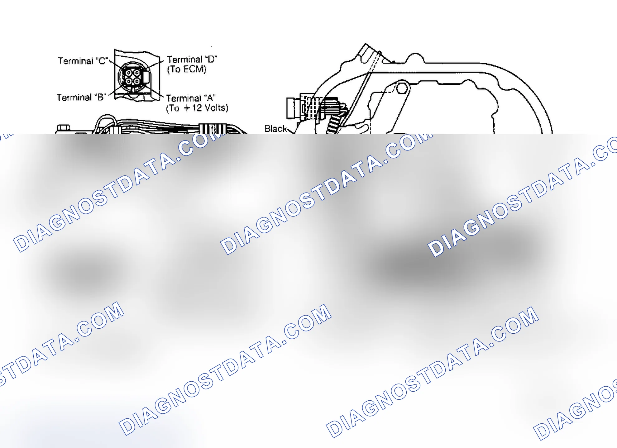 Scheme 335