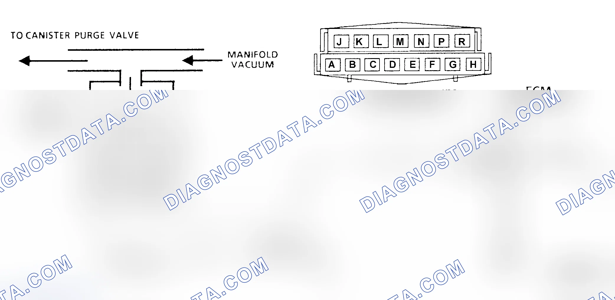 Scheme 650: Chart C3, Canister Purge Check, Schematic