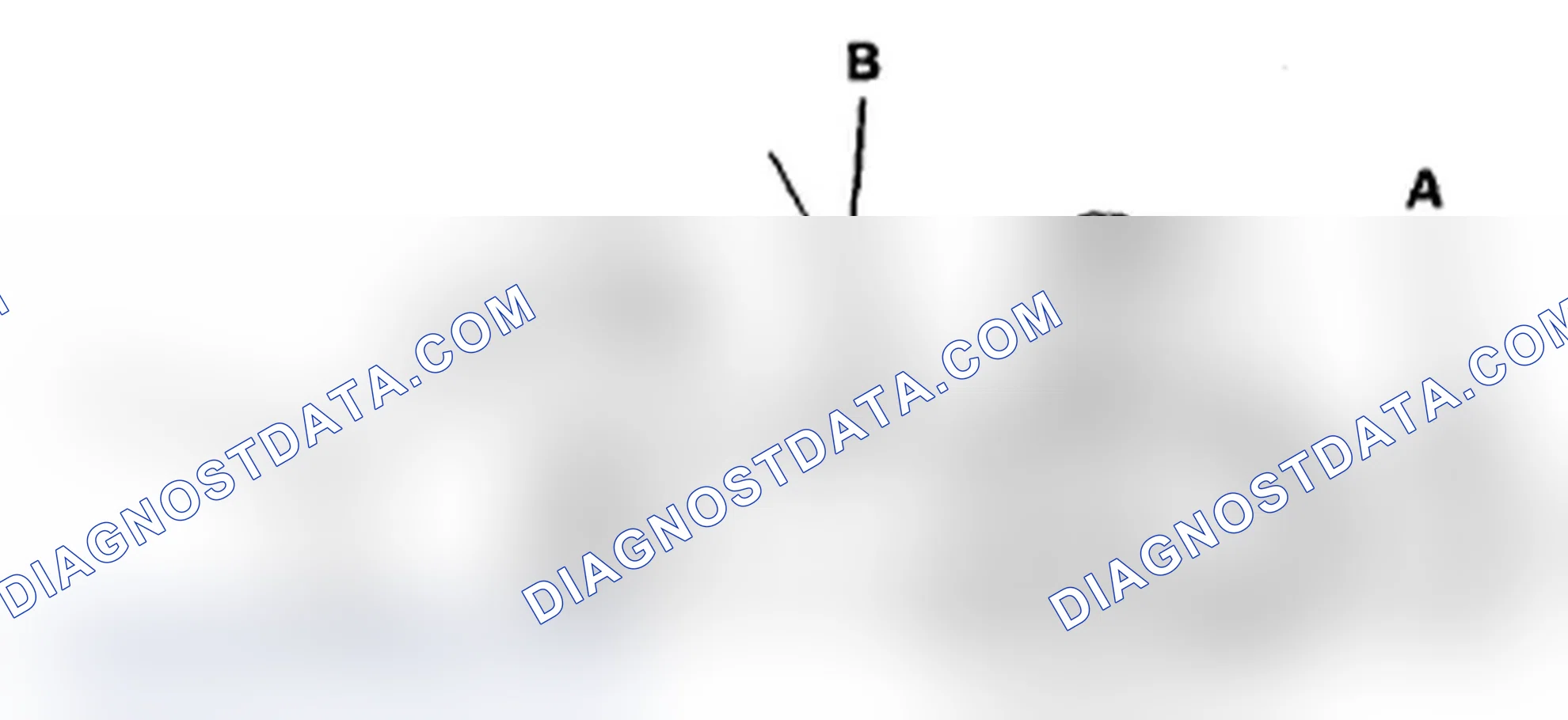 Scheme 2: Radiator Cap Test