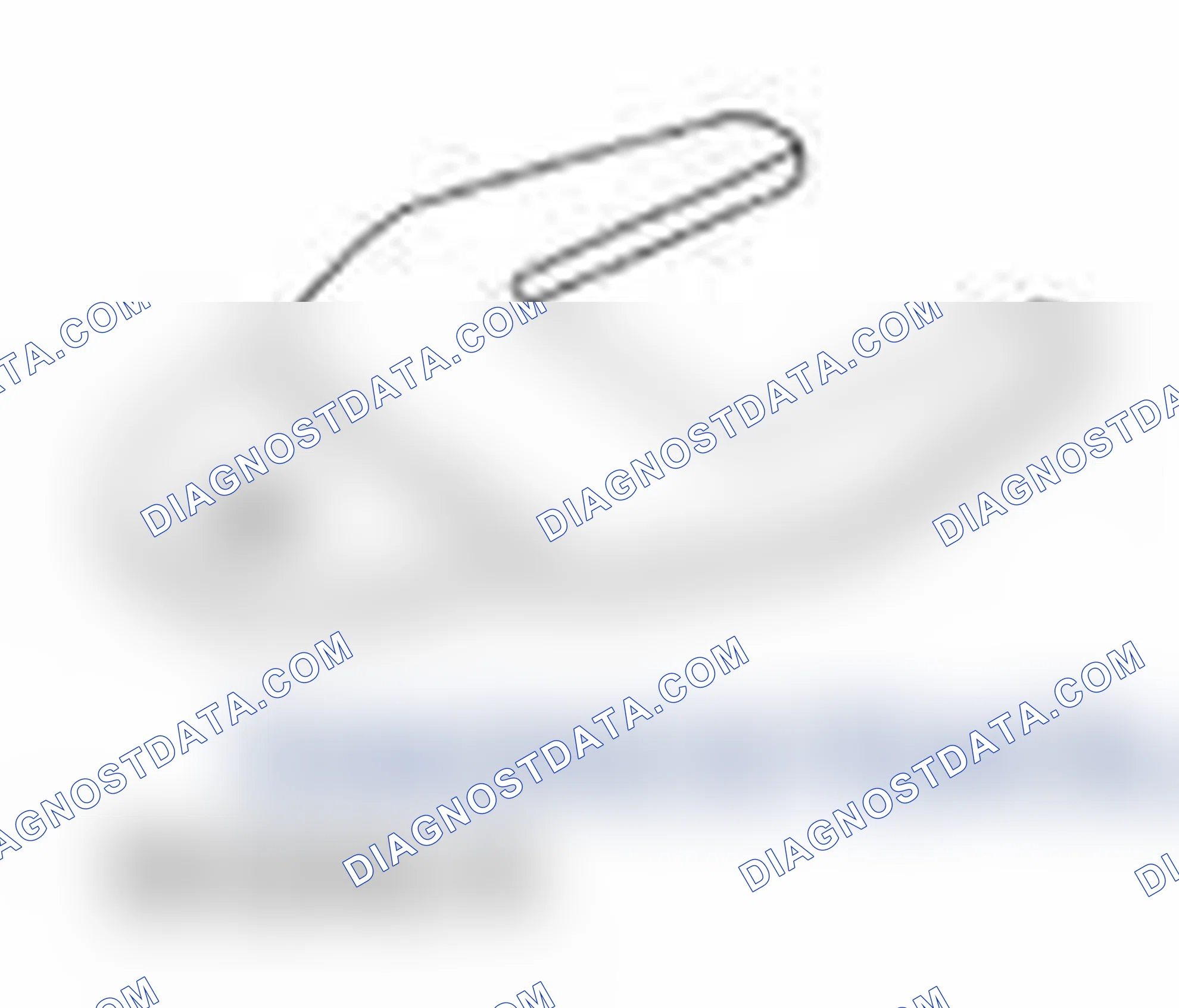 Scheme 876: Valve Cover - LH