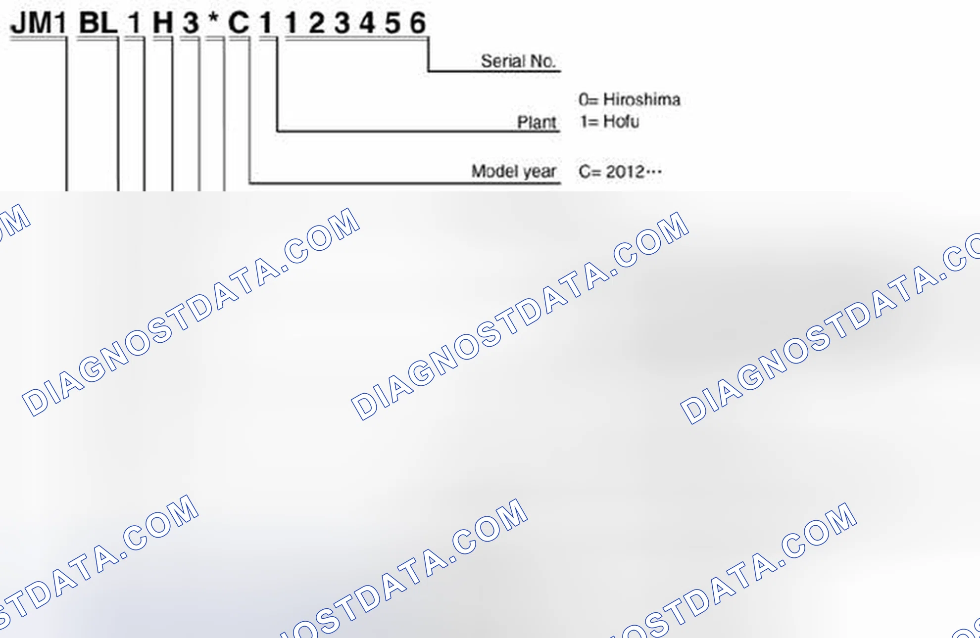 Scheme 1: Vehicle Identification Number Breakdown