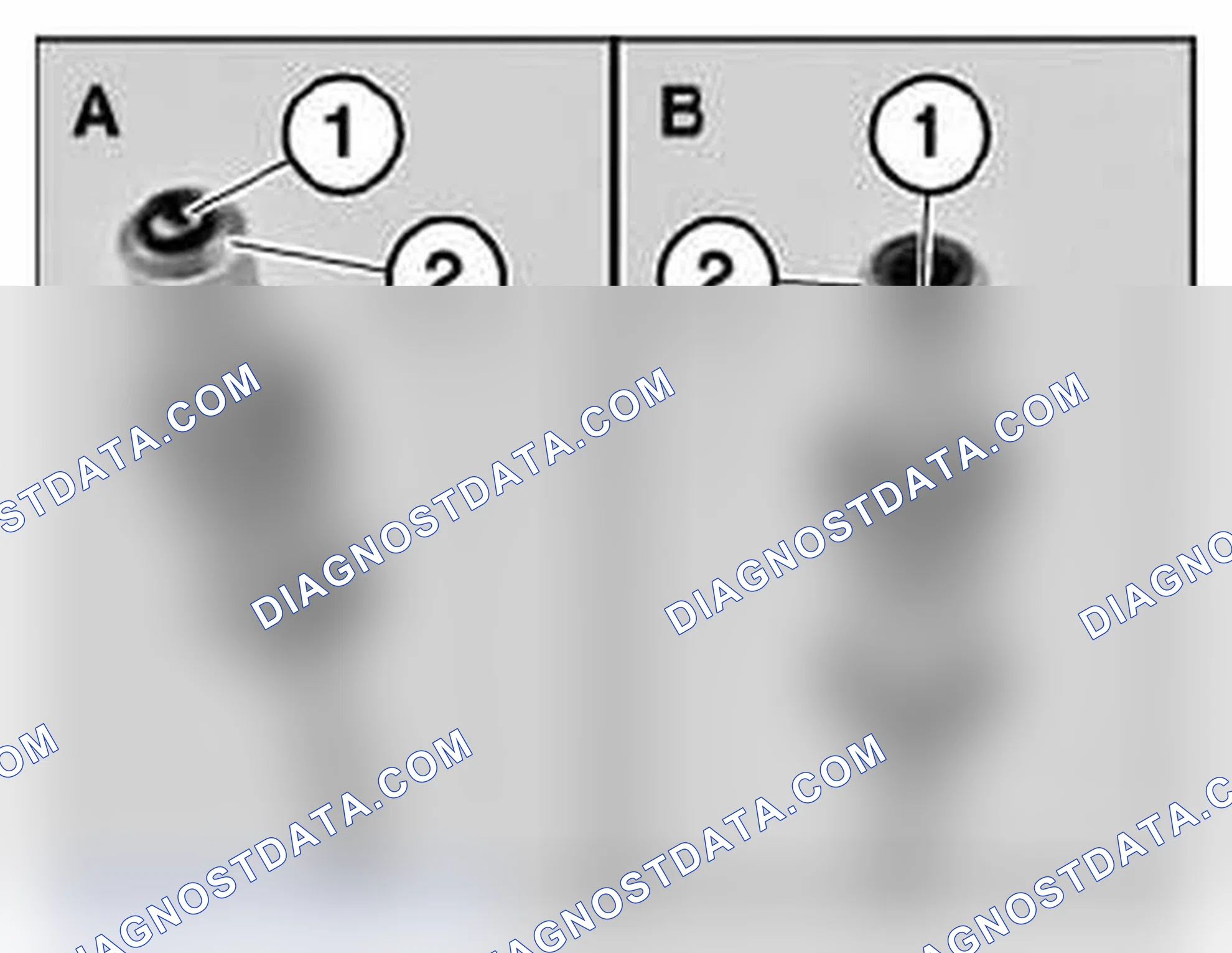Scheme 107