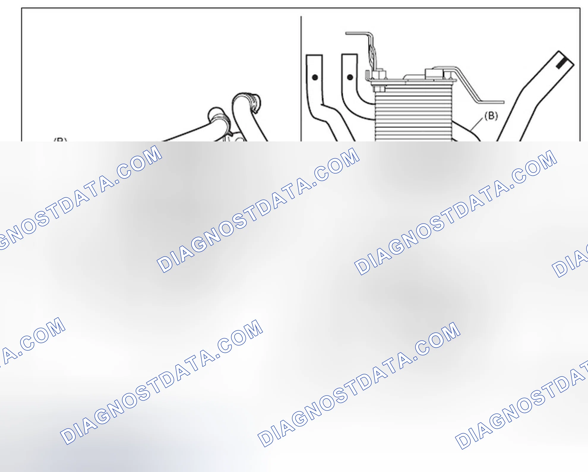 Scheme 381
