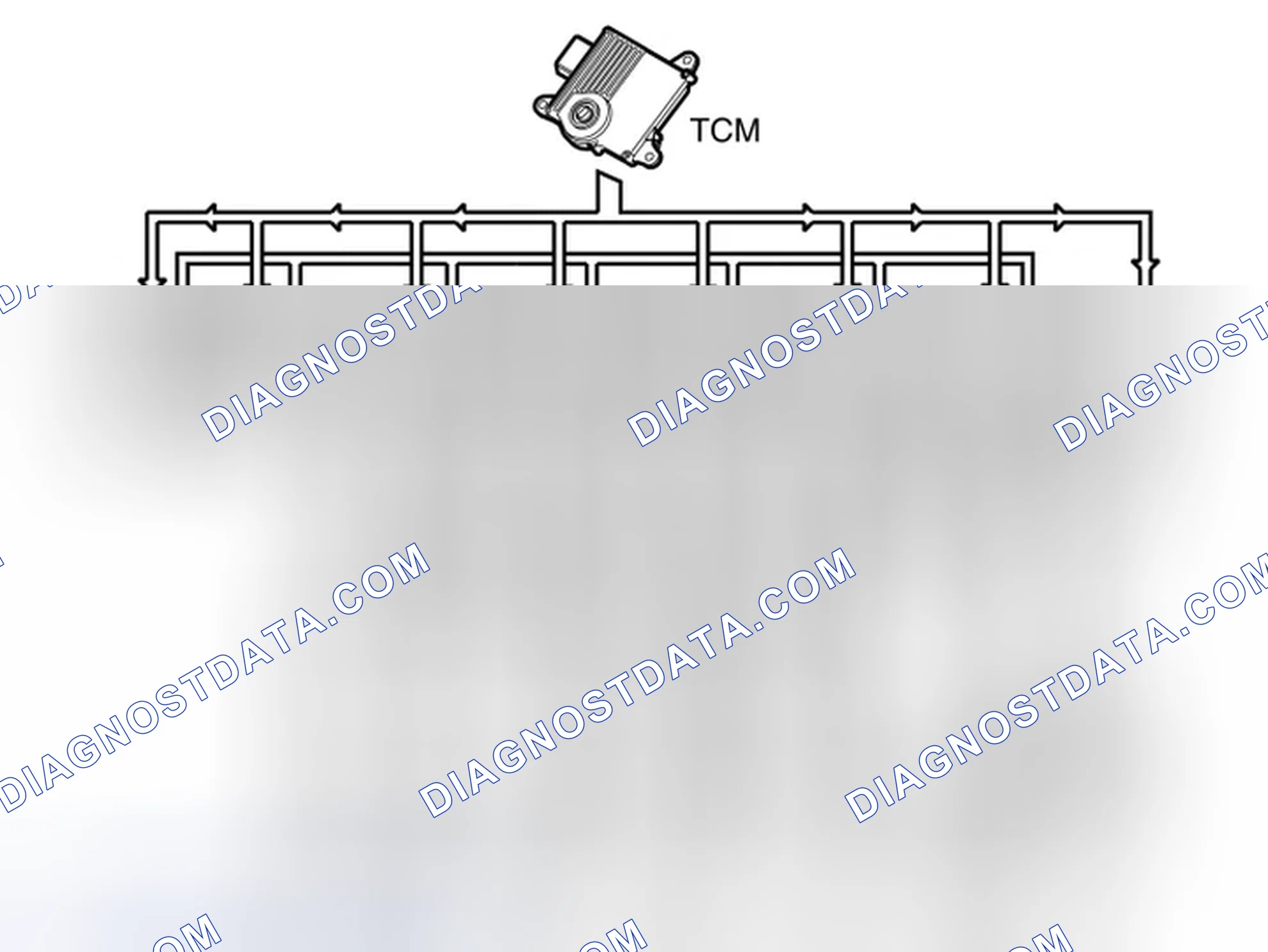Scheme 146