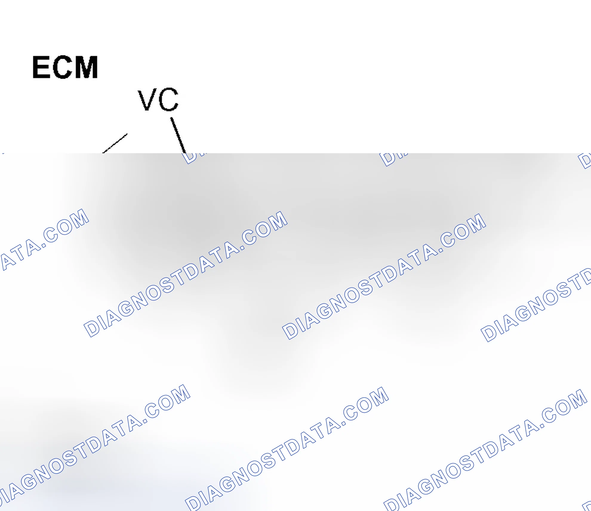 Scheme 368