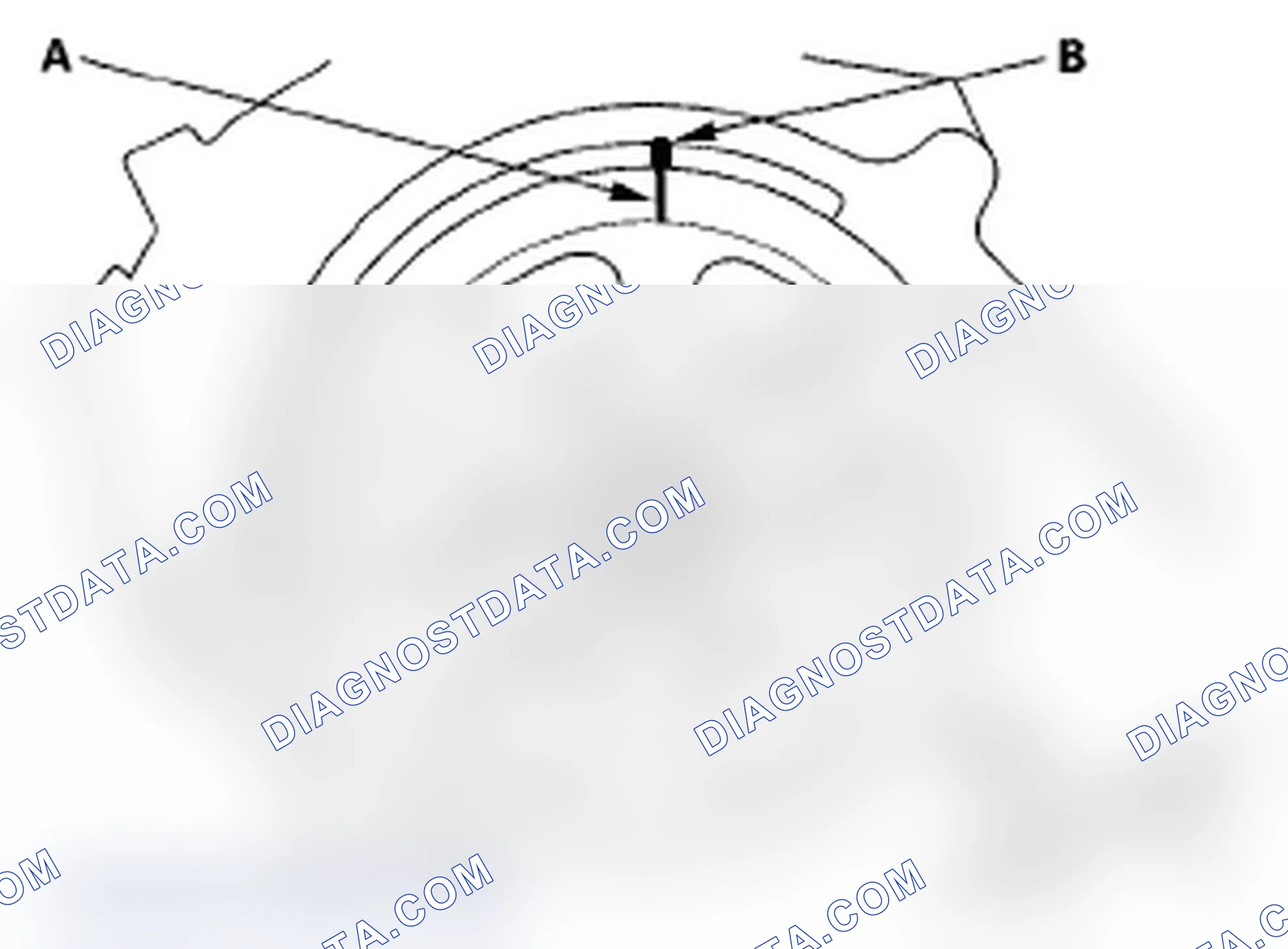 Scheme 163