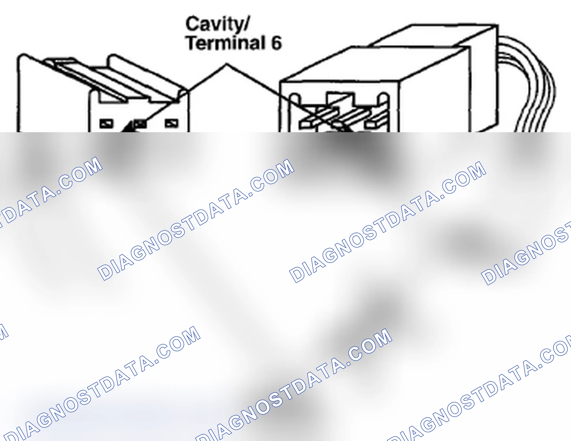 Scheme 1009: Identifying Cavity/Terminal 6, Male Terminal And Female Terminal