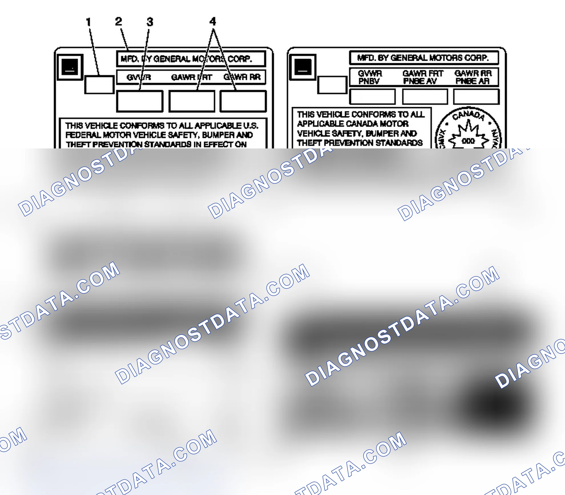 Scheme 29: Vehicle Certification, Tire Placard, Anti-Theft, and Service Parts ID Label