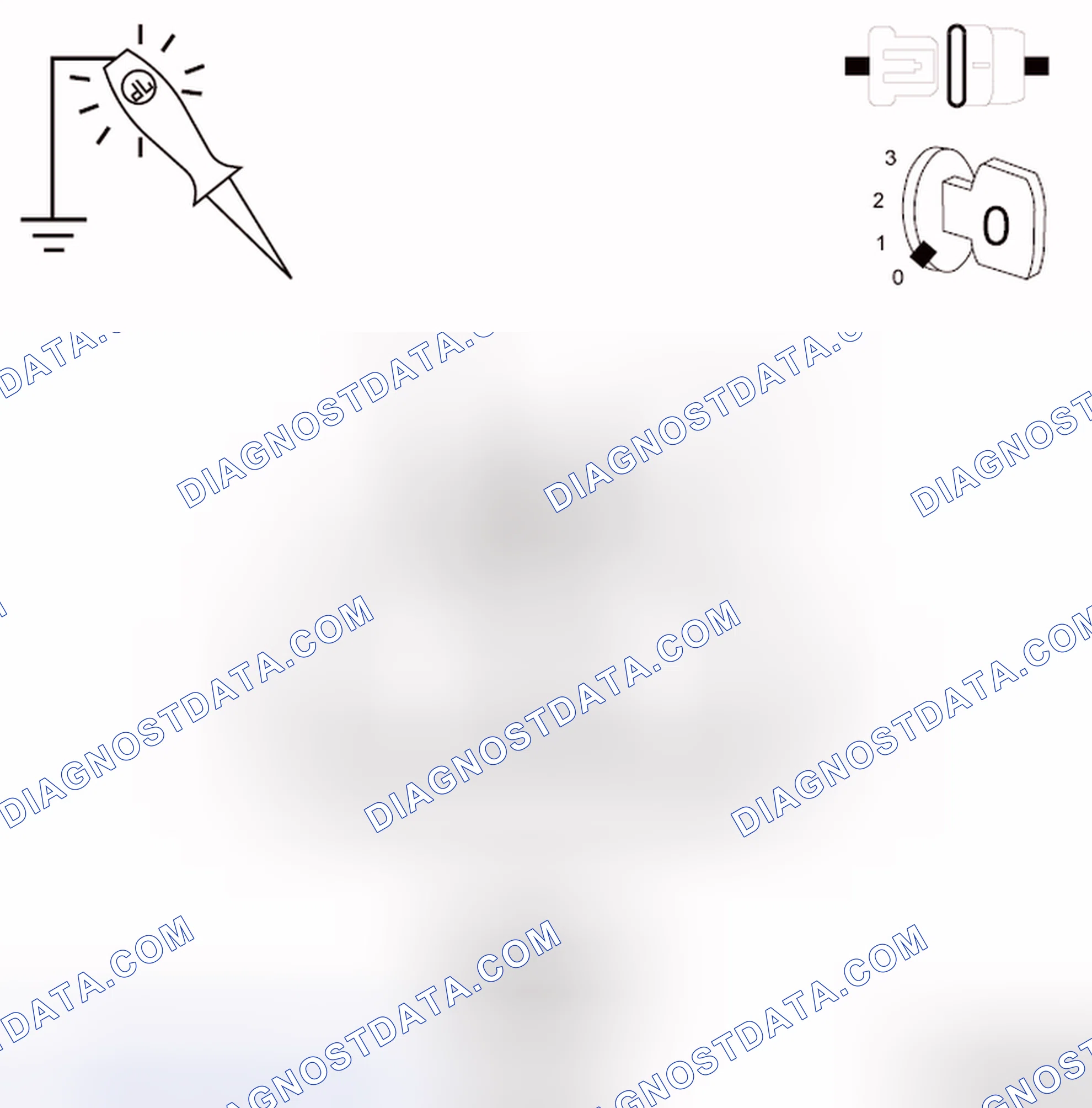 Scheme 301: DIAGNOSTIC TEST