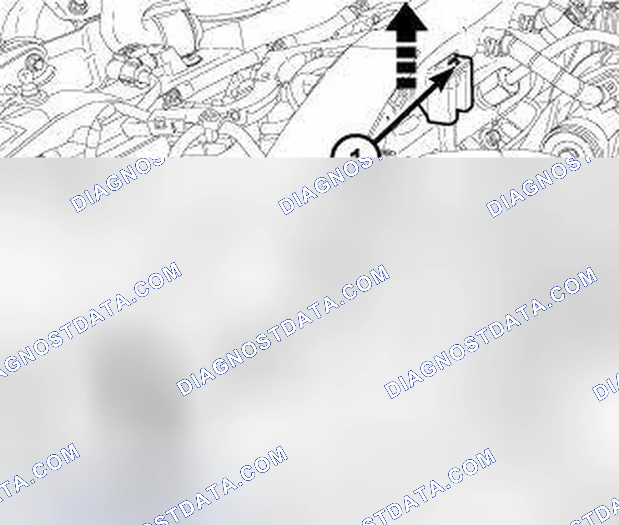 Scheme 560