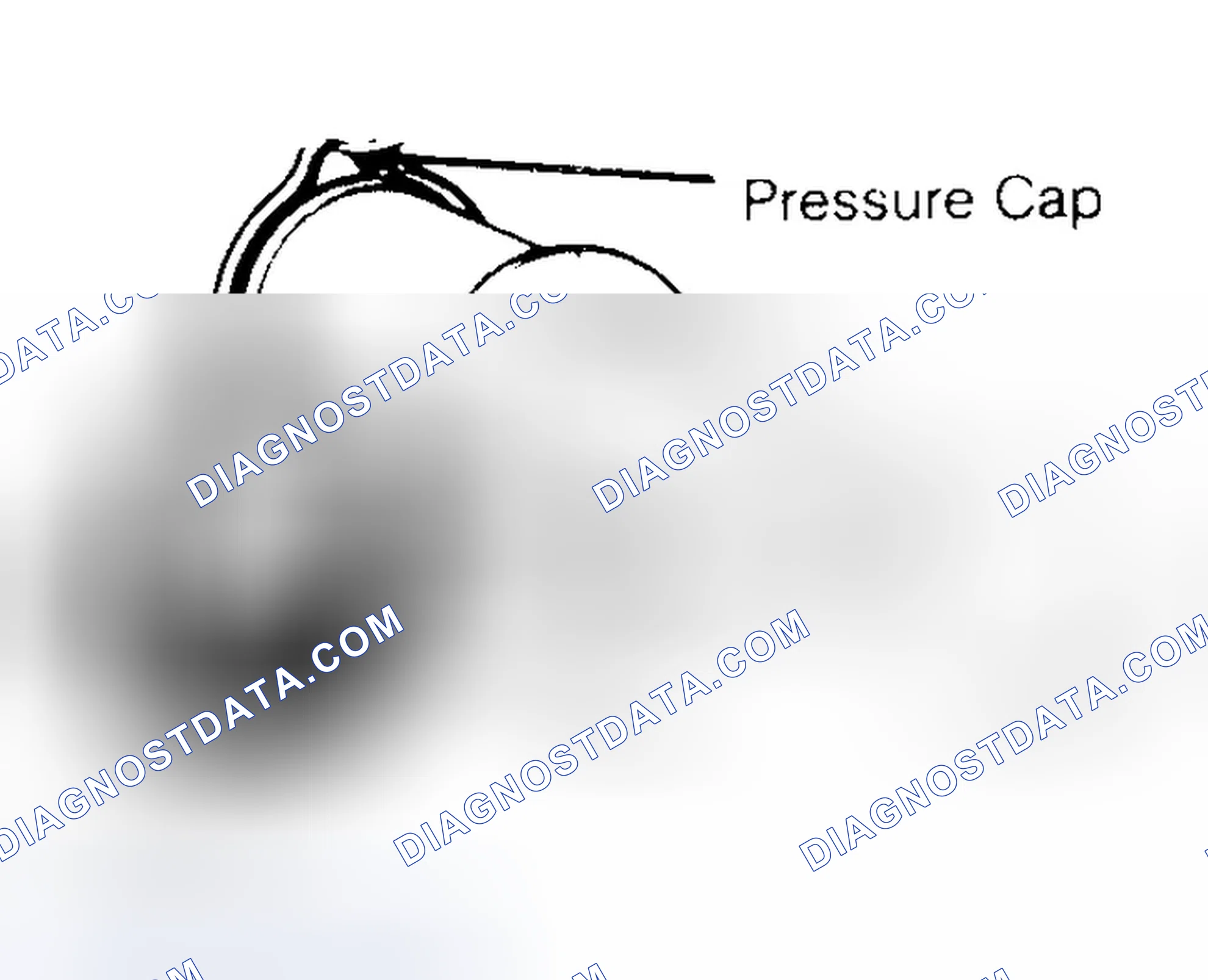 Scheme 2: Pressure Testing Radiator Cap