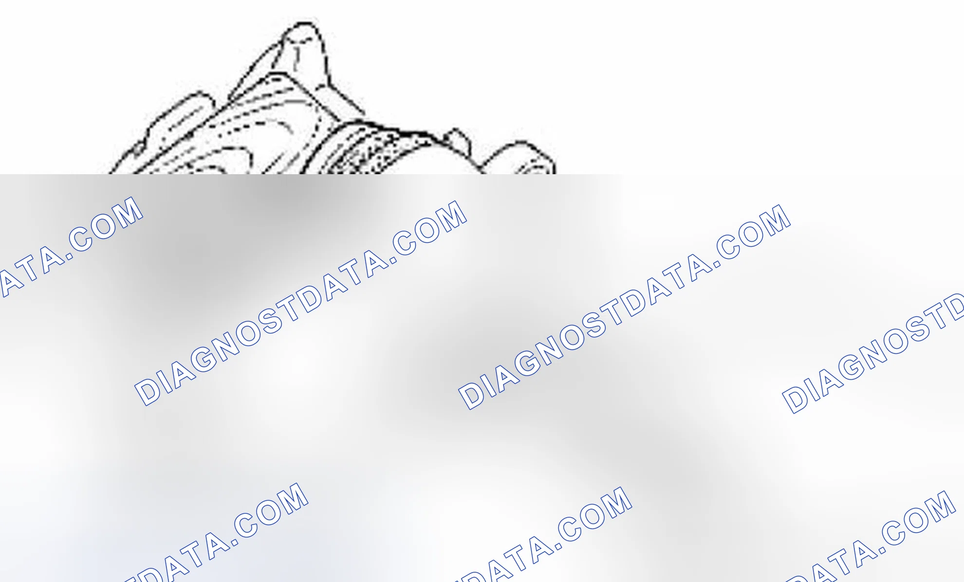Scheme 55: DISASSEMBLY