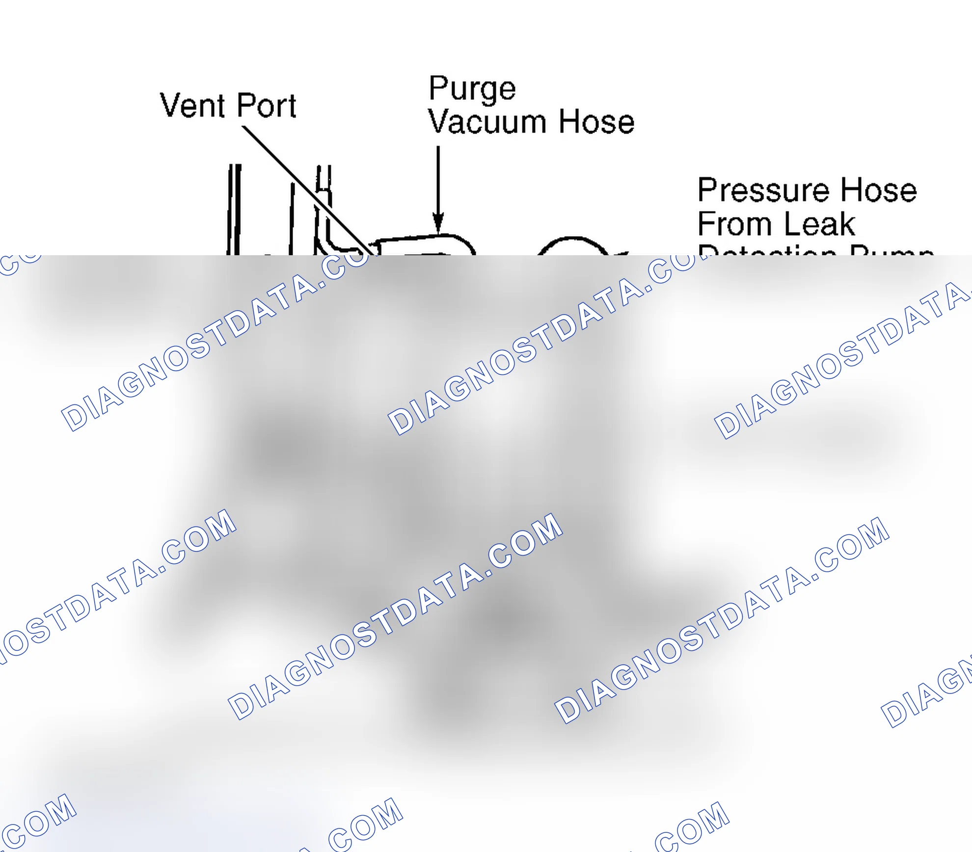 Scheme 41: Locating EVAP Canister & Identifying Hoses