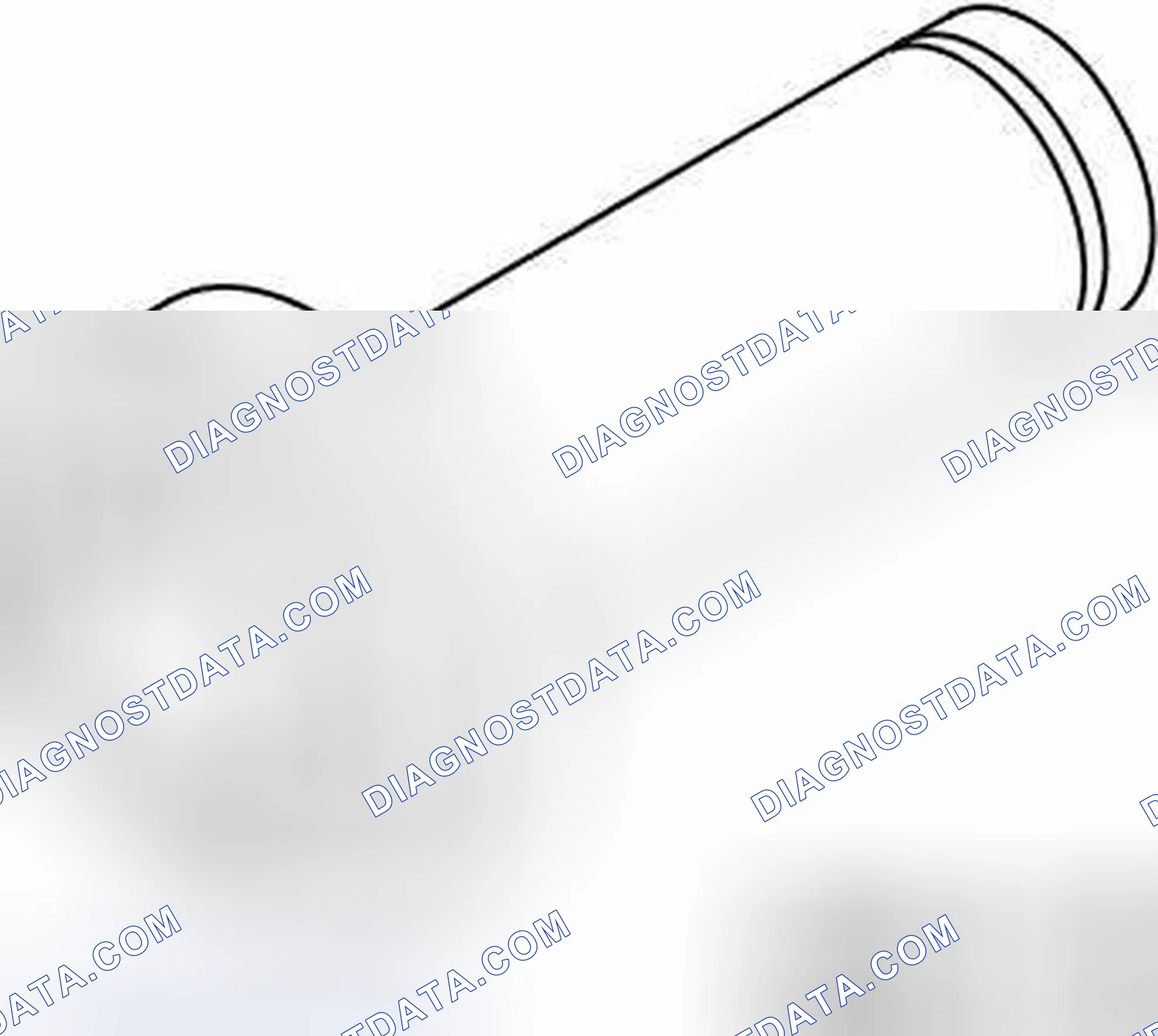 Scheme 76: Differential Fluid Seals - In-Vehicle Procedures (Halfshaft Oil Seal)