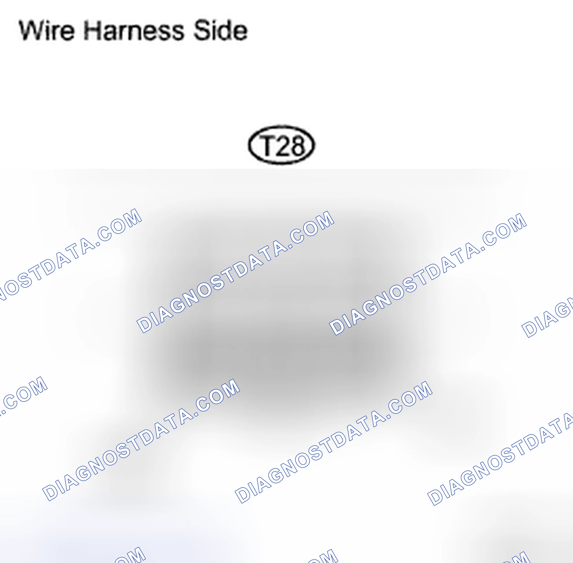 Scheme 12: INSPECTION PROCEDURE