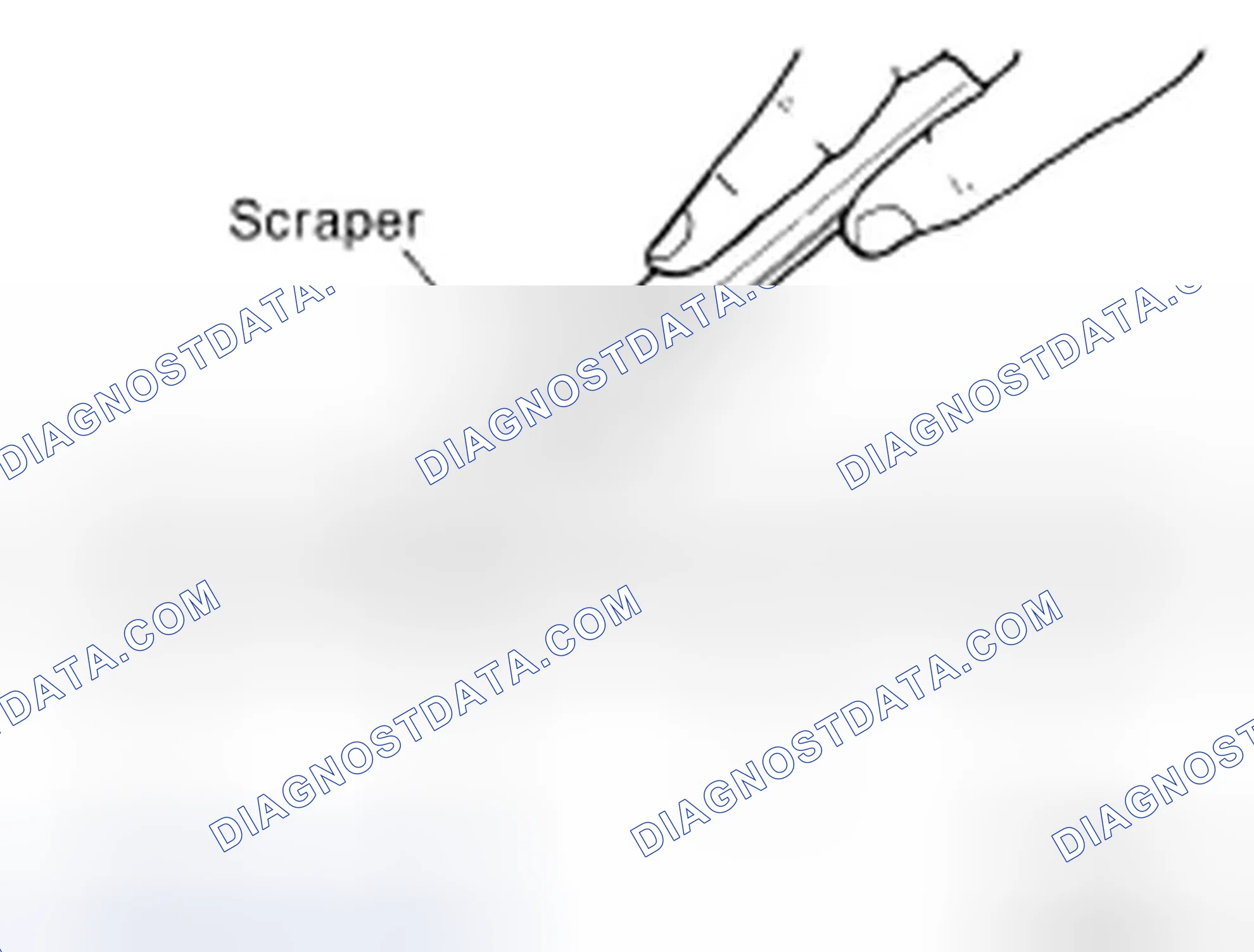 Scheme 232: LIQUID GASKET APPLICATION PROCEDURE