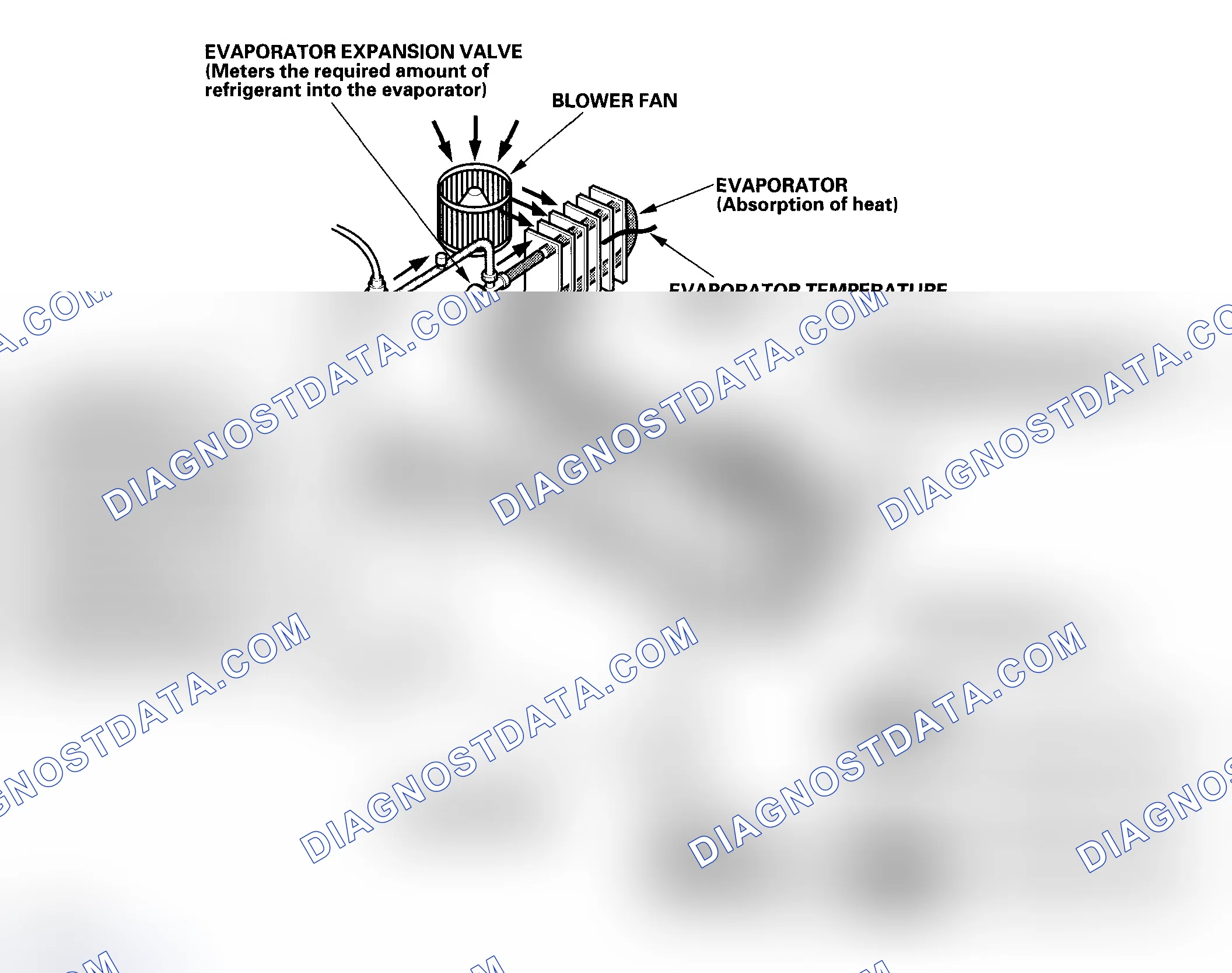 Scheme 10: System Description
